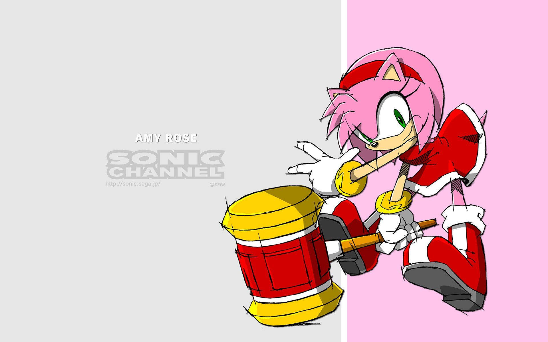 Amy Rose, pink hedgehog, red and white outfit, Full HD Desktop Wallpaper