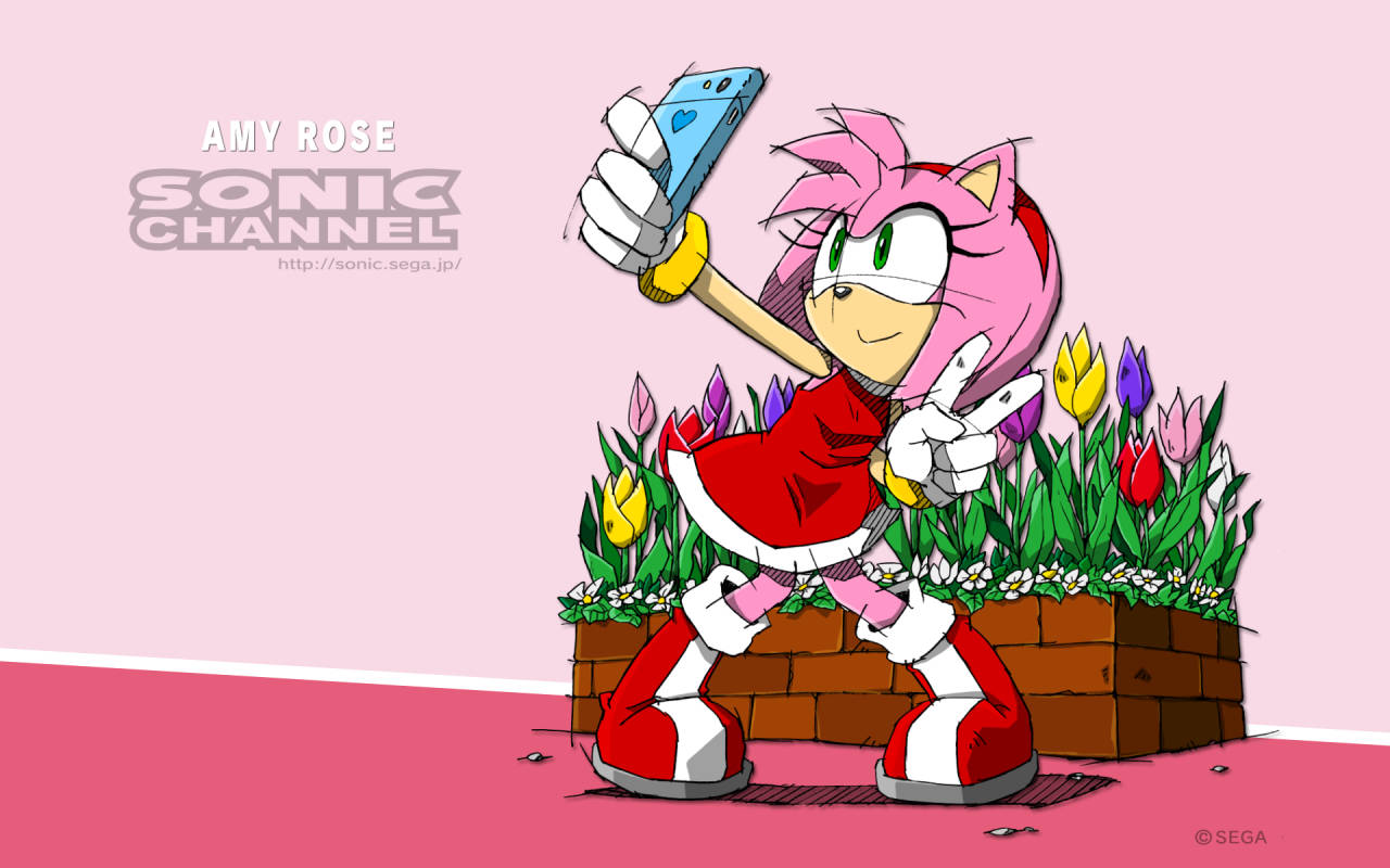 Amy Rose, smartphone, colorful tulip garden, HD Desktop Wallpaper