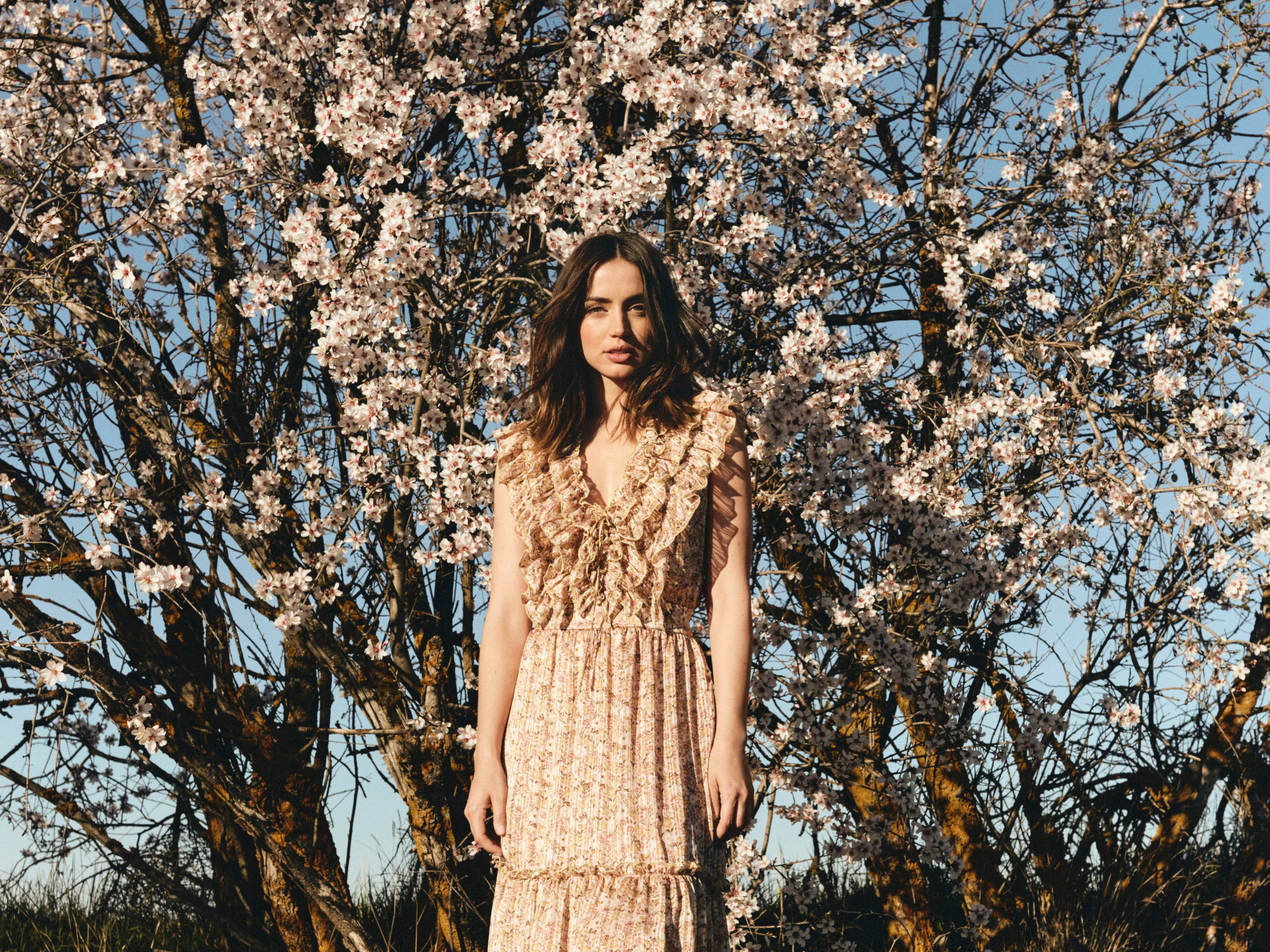 Ana De Armas, cherry blossom, floral dress, 2K Desktop Wallpaper