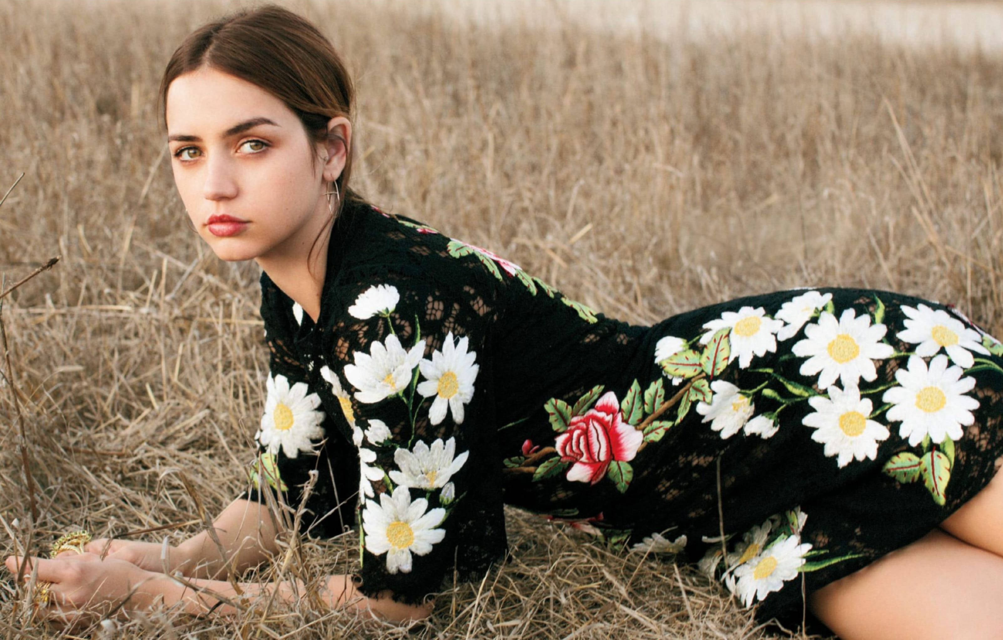 Ana De Armas, black lace dress, white daisies, 2K Desktop Wallpaper