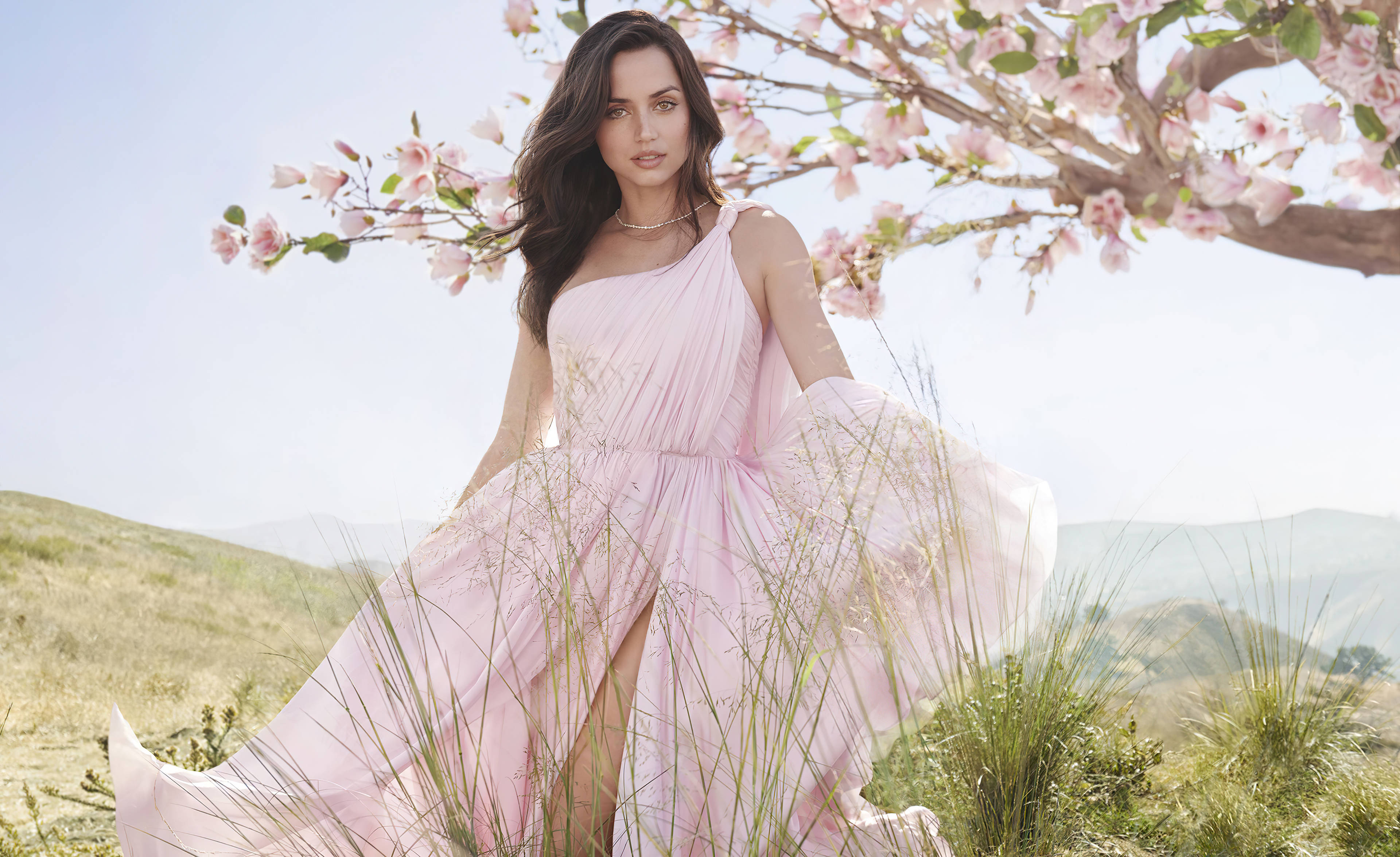 Ana De Armas, pink dress, cherry tree, 4K Desktop Wallpaper
