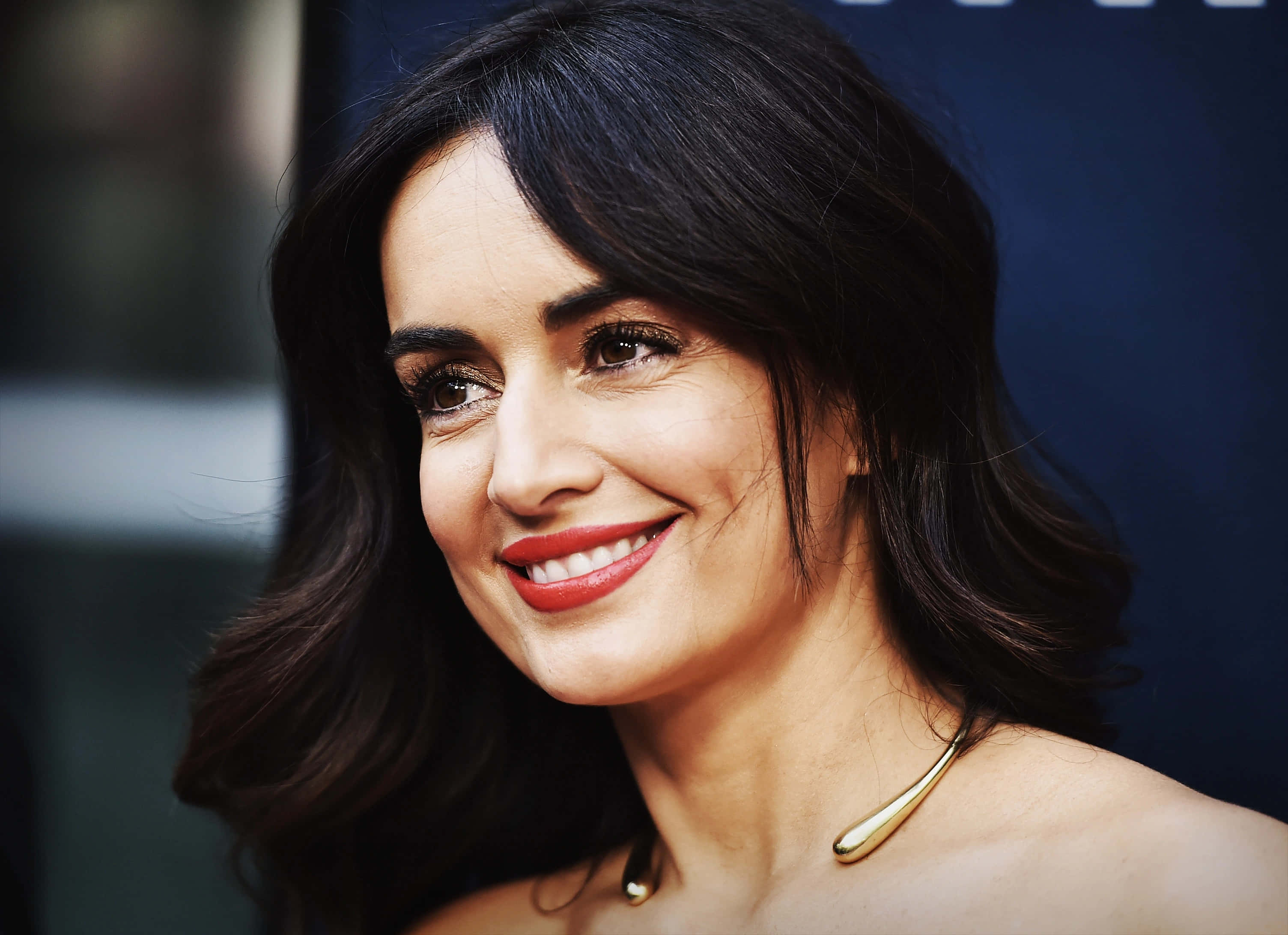 Ana De La Reguera, glowing, sunlit portrait, 2K Desktop Wallpaper