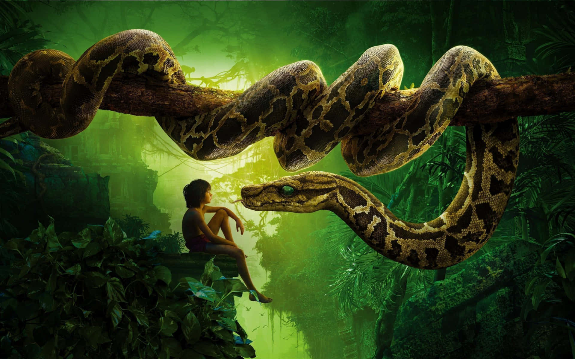 Anaconda, jungle, mossy ledge, Full HD Desktop Wallpaper