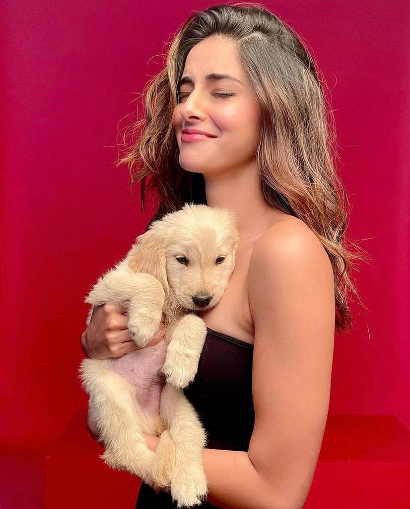 Ananya Pandey, fluffy golden retriever puppy, vivid red backdrop, SD Phone Wallpaper