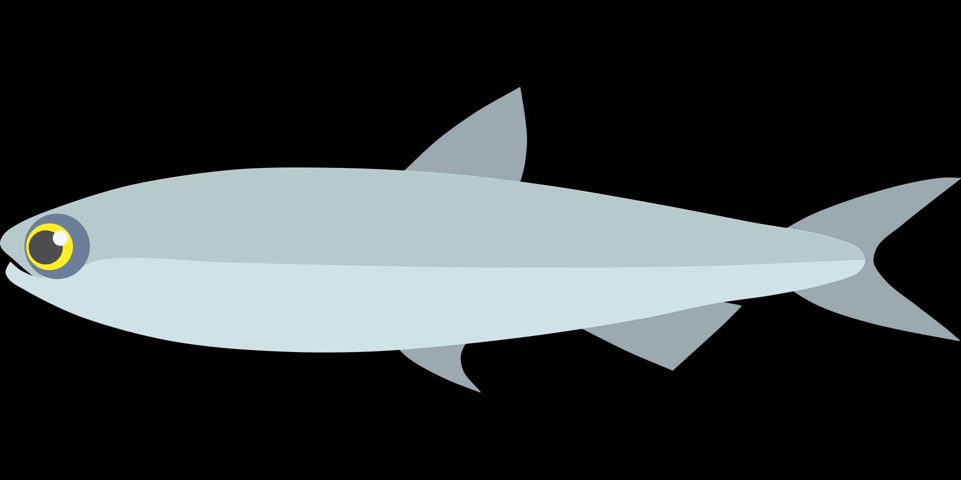minimalist, silver fish, yellow eye, Full HD Desktop Wallpaper