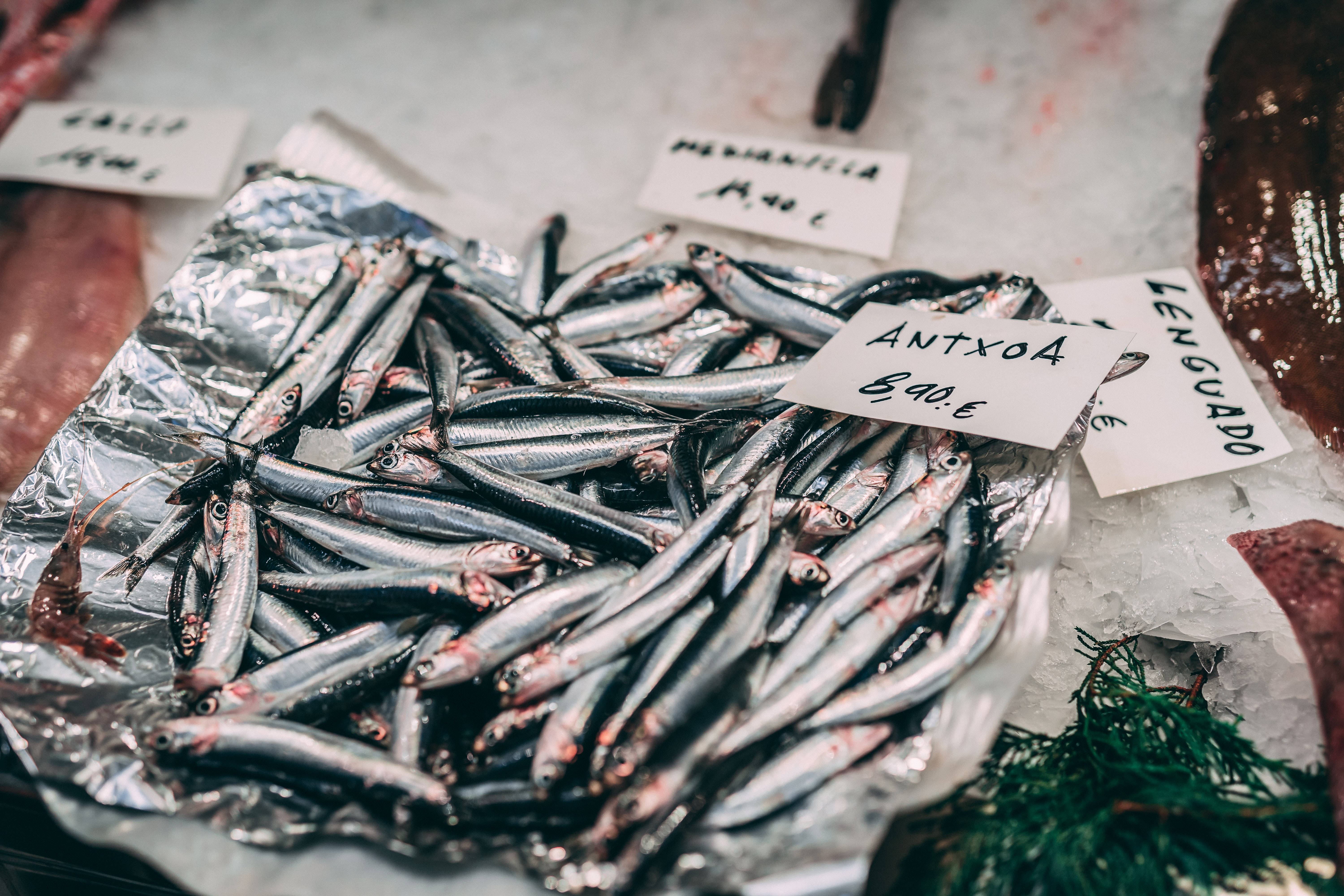 Anchovies, marketplace, foils, 5K Desktop Wallpaper