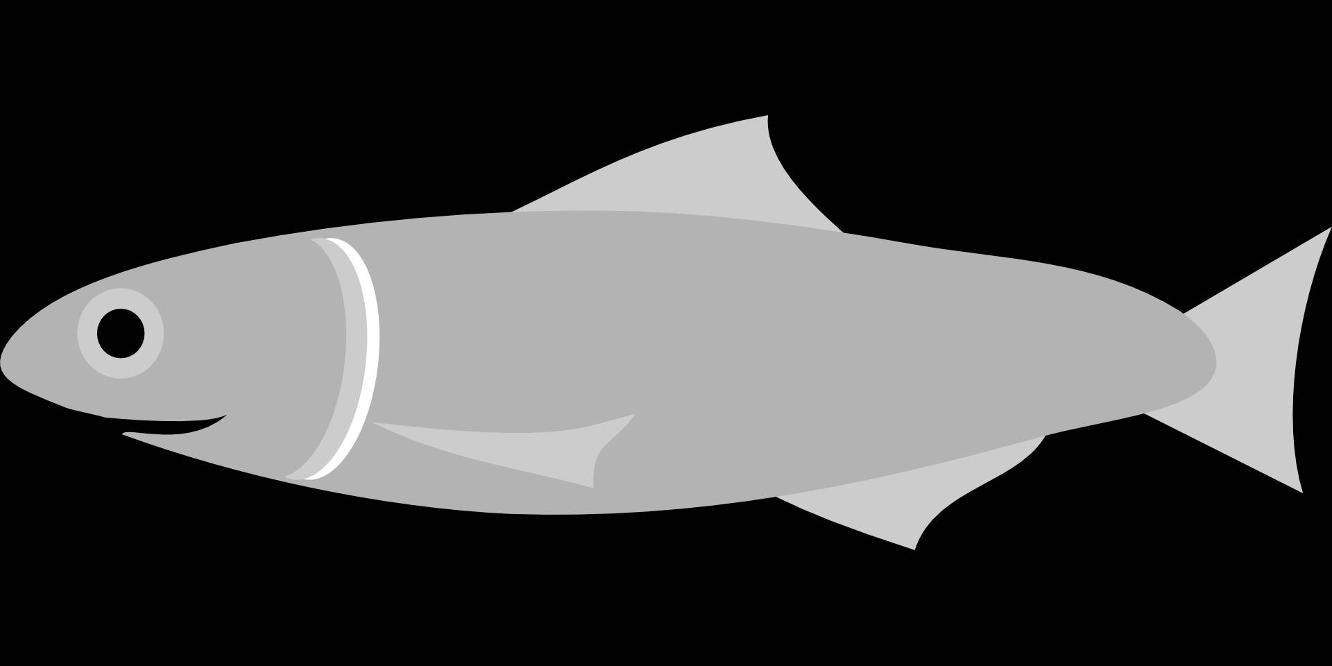 cute anchovies fish, minimalist gray fish illustration, white stripes, Full HD Desktop Wallpaper