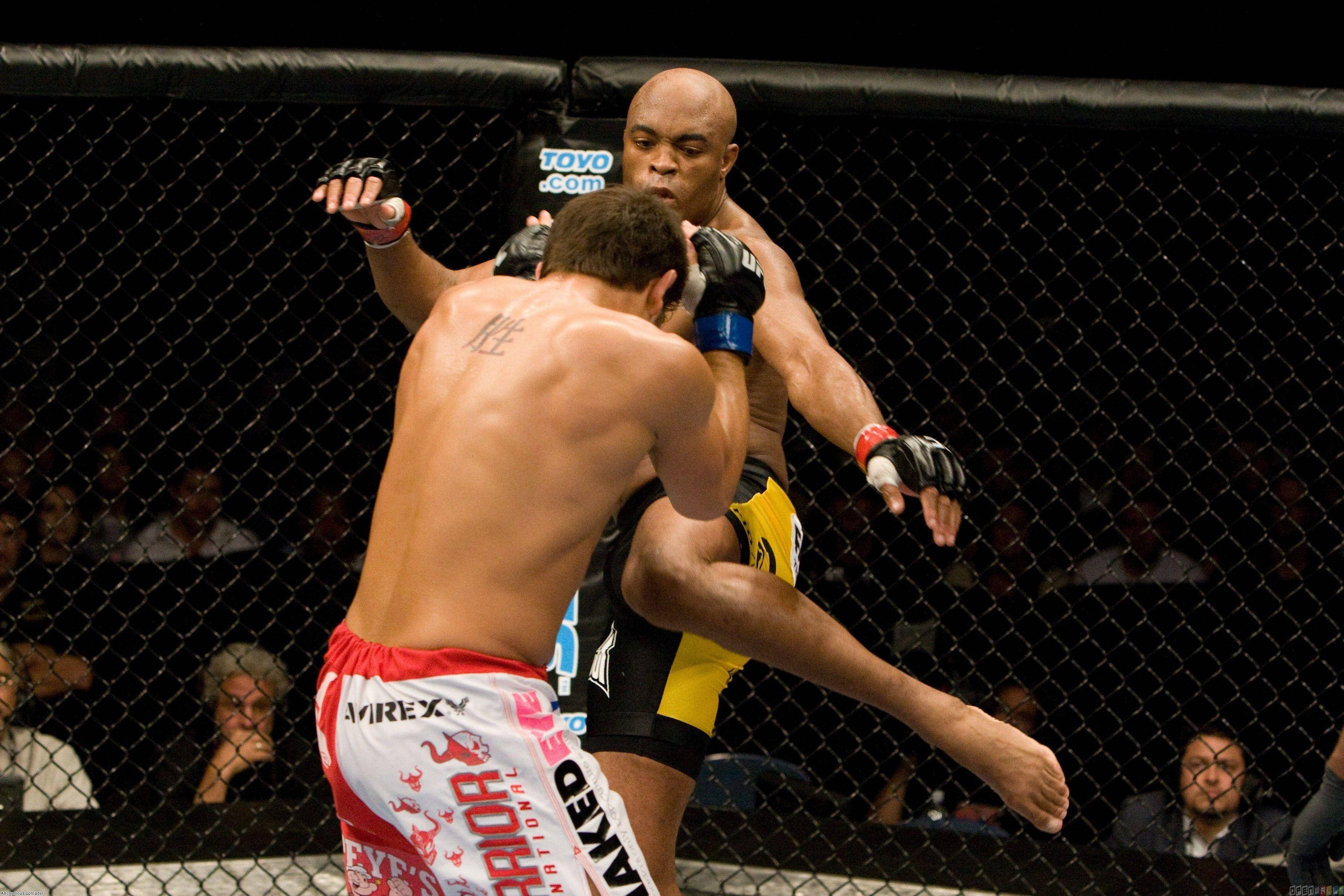 Anderson Silva, cage, kick, 2K Desktop Wallpaper