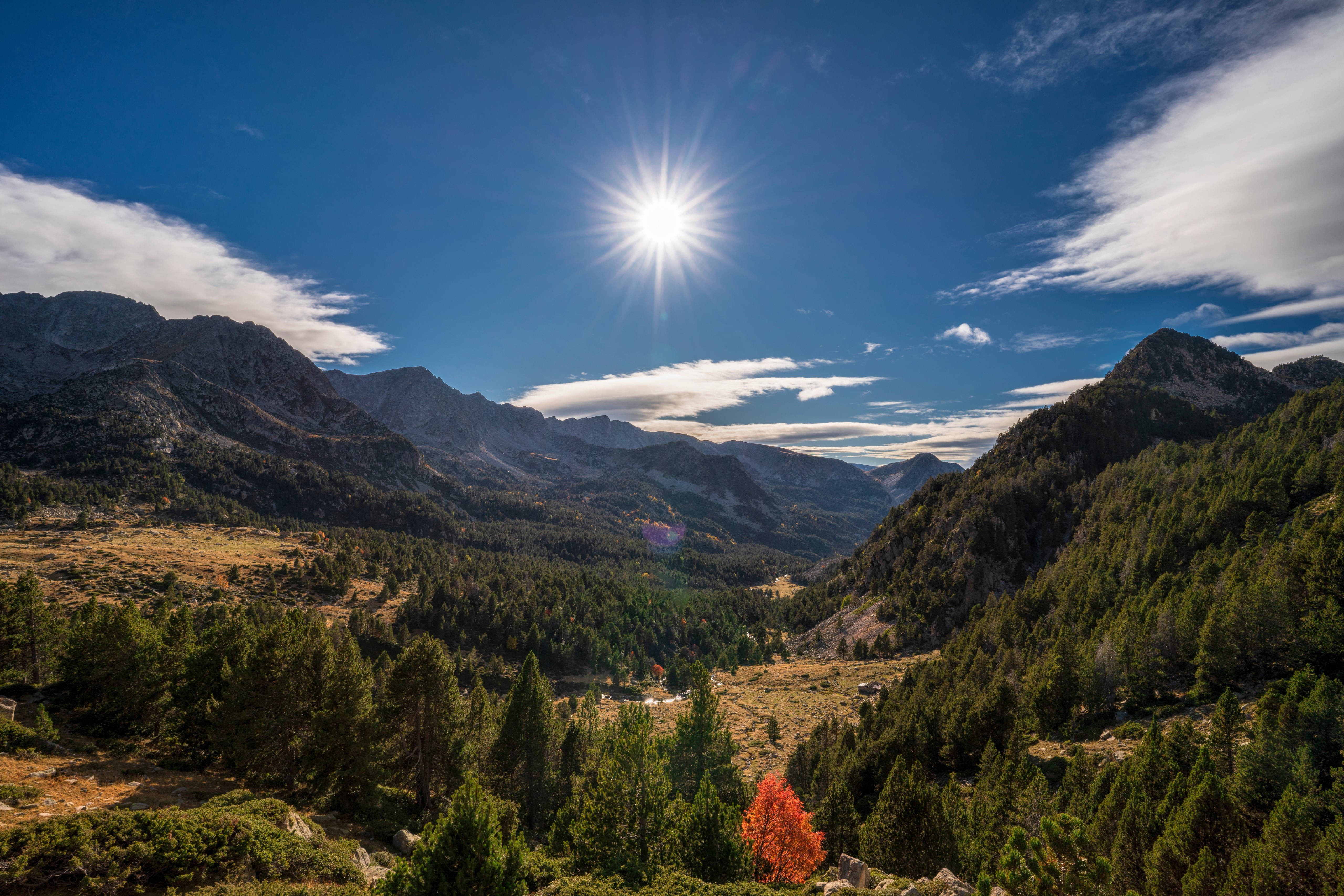 Andorra, rugged mountain valley, dense evergreen forests, 5K Desktop Wallpaper