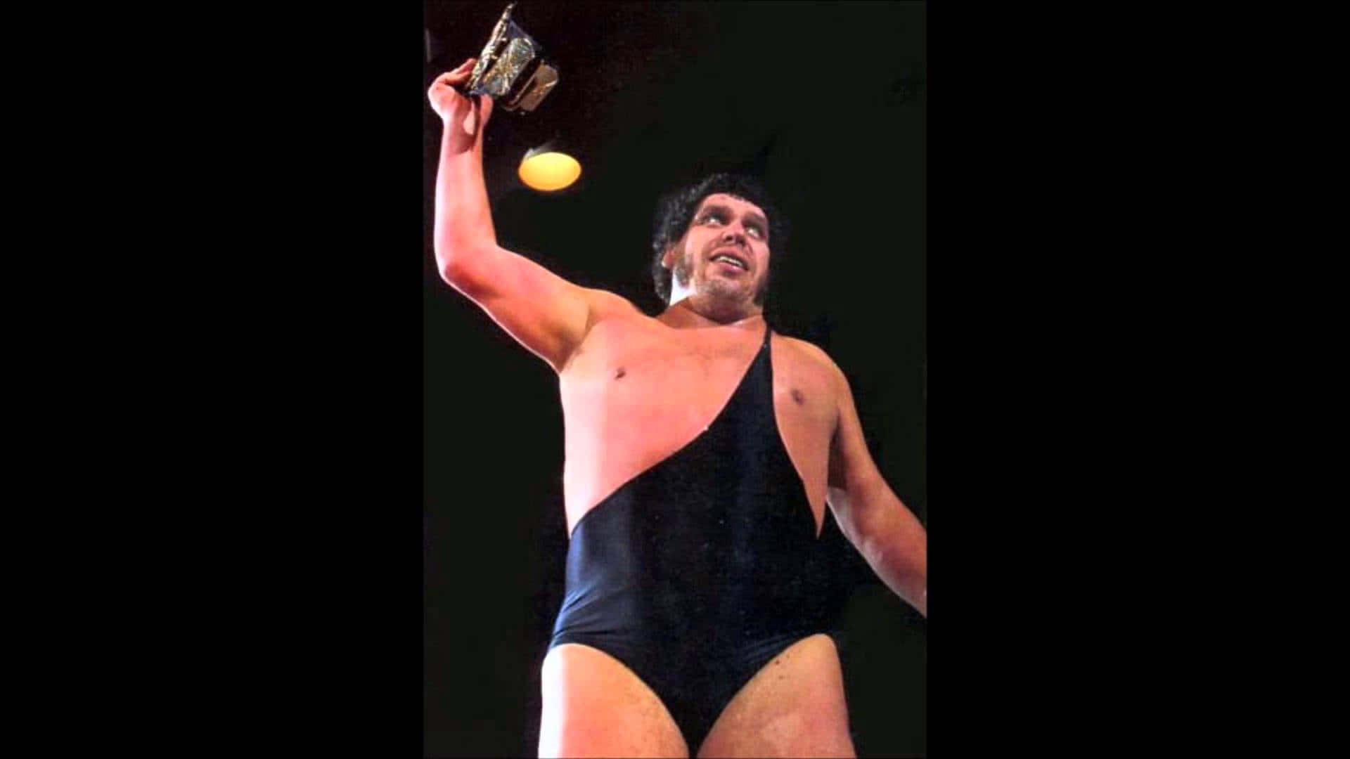 Andre The Giant, championship belt, black singlet, Full HD Desktop Wallpaper