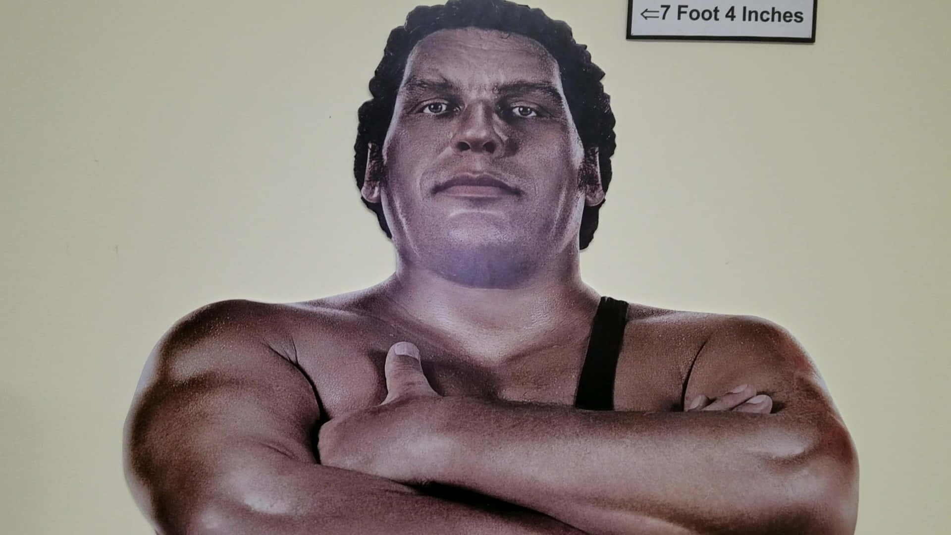 Andre The Giant, portrait painting, muscular man, Full HD Desktop Wallpaper