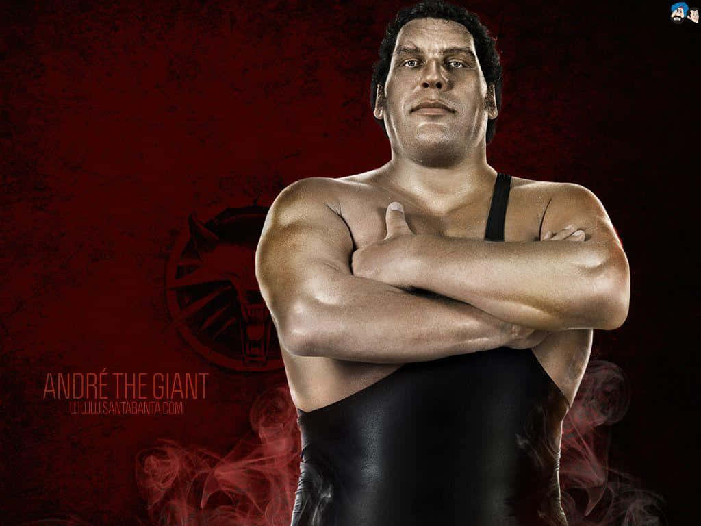 Andre The Giant, professional wrestler, smoky red backdrop, SD Desktop Wallpaper