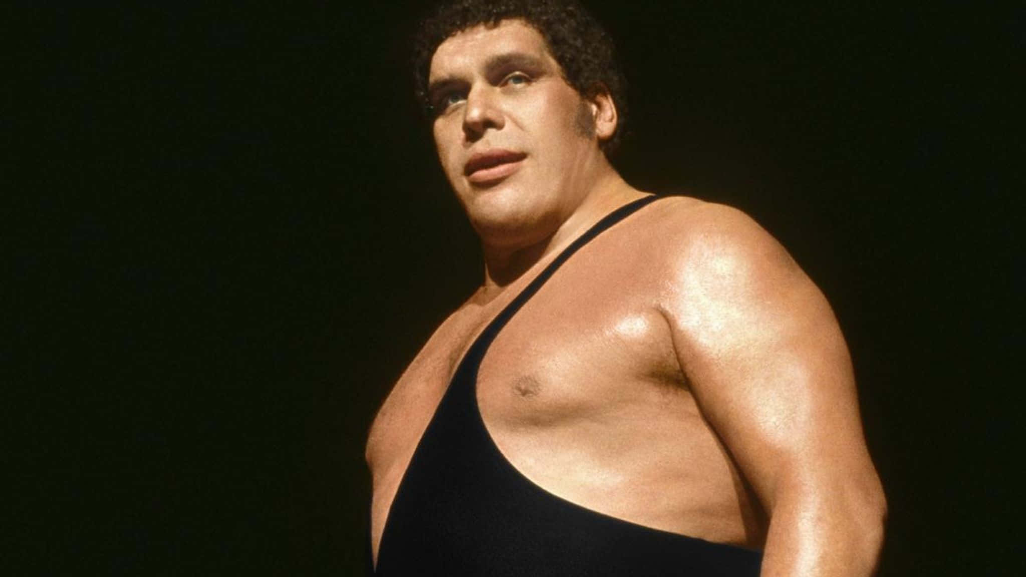 Andre The Giant, wrestling singlet, dark background, Full HD Desktop Wallpaper