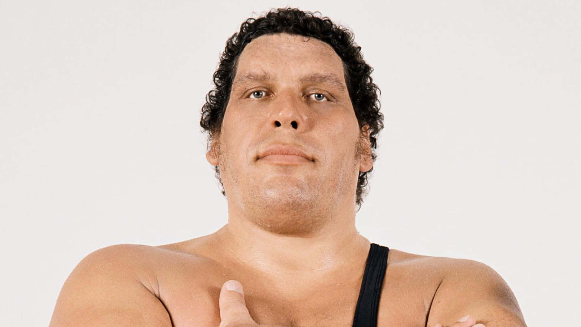 Andre The Giant, muscular man, curly dark hair, Full HD Desktop Wallpaper