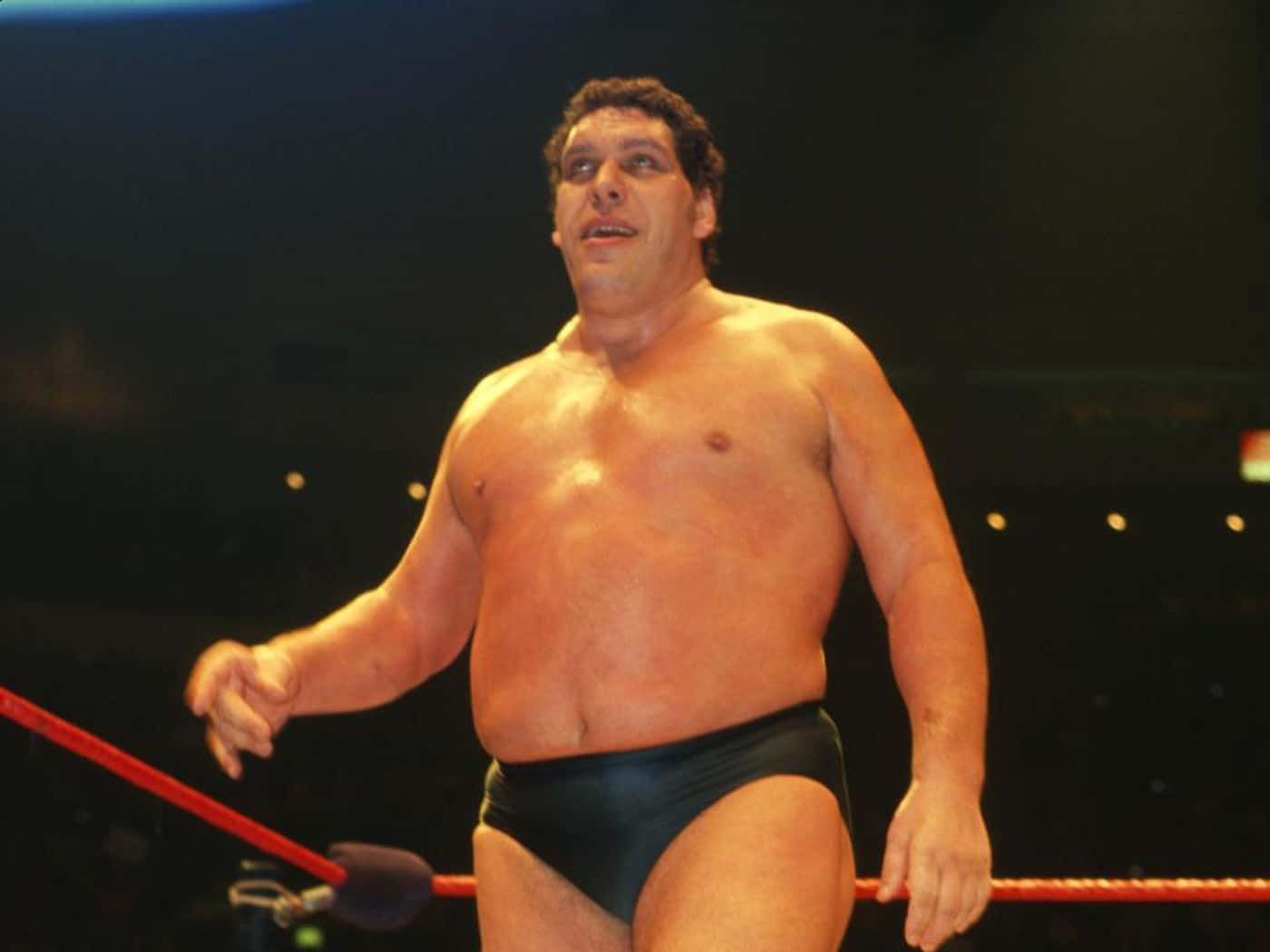 Andre The Giant, wrestling ring, red-ringed wrestling ring, HD Desktop Wallpaper