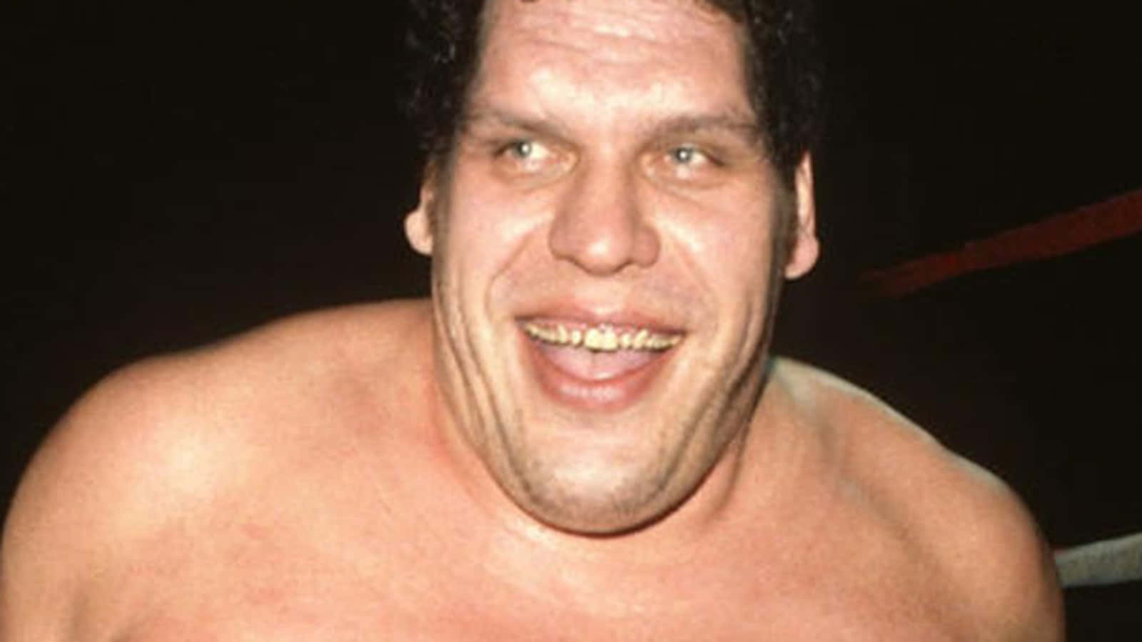 Andre The Giant, heavyweight champion wrestler, dimly lit ring, HD Desktop Wallpaper