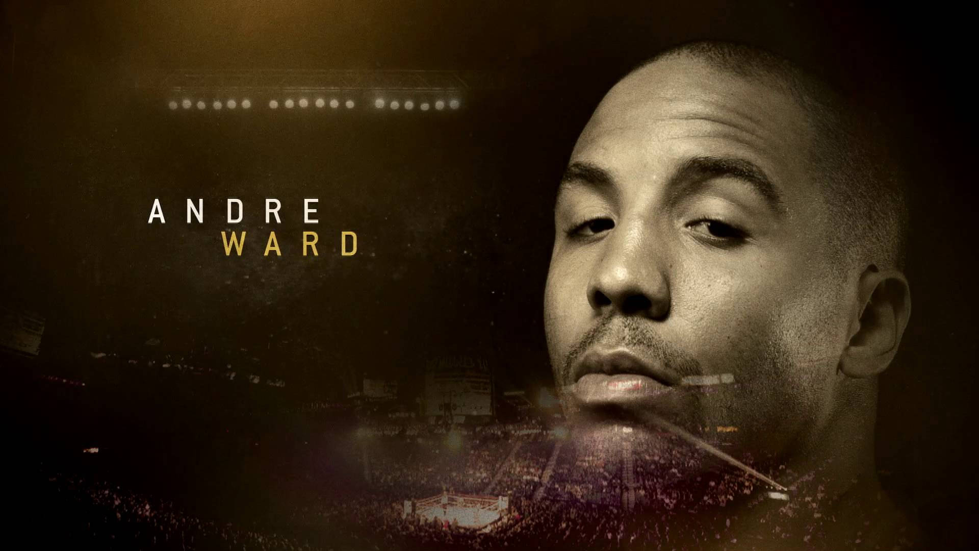 Andre Ward, arena crowd, bright lights, Full HD Desktop Wallpaper