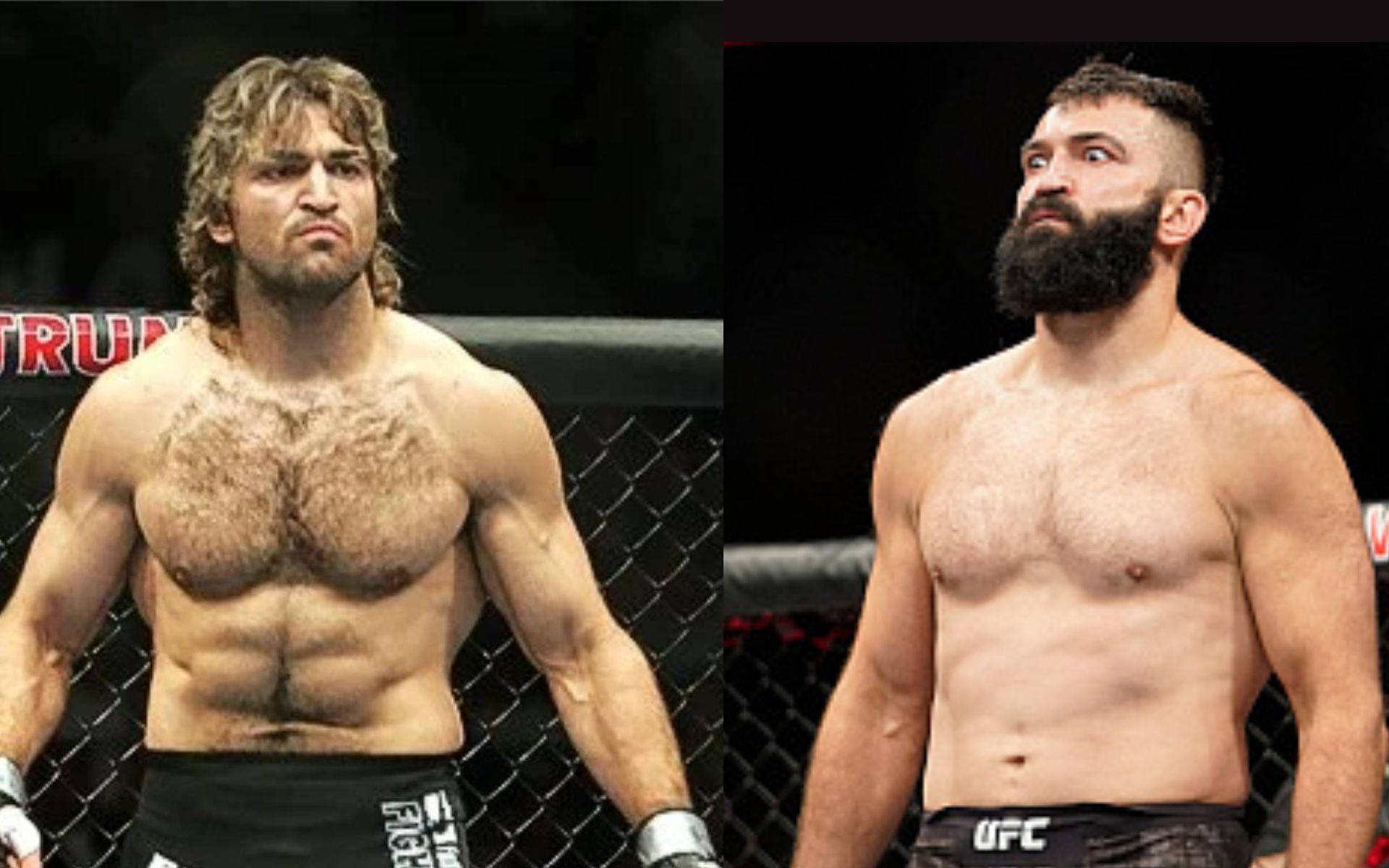 Andrei Arlovski, MMA fighters, octagon cage, Full HD Desktop Wallpaper