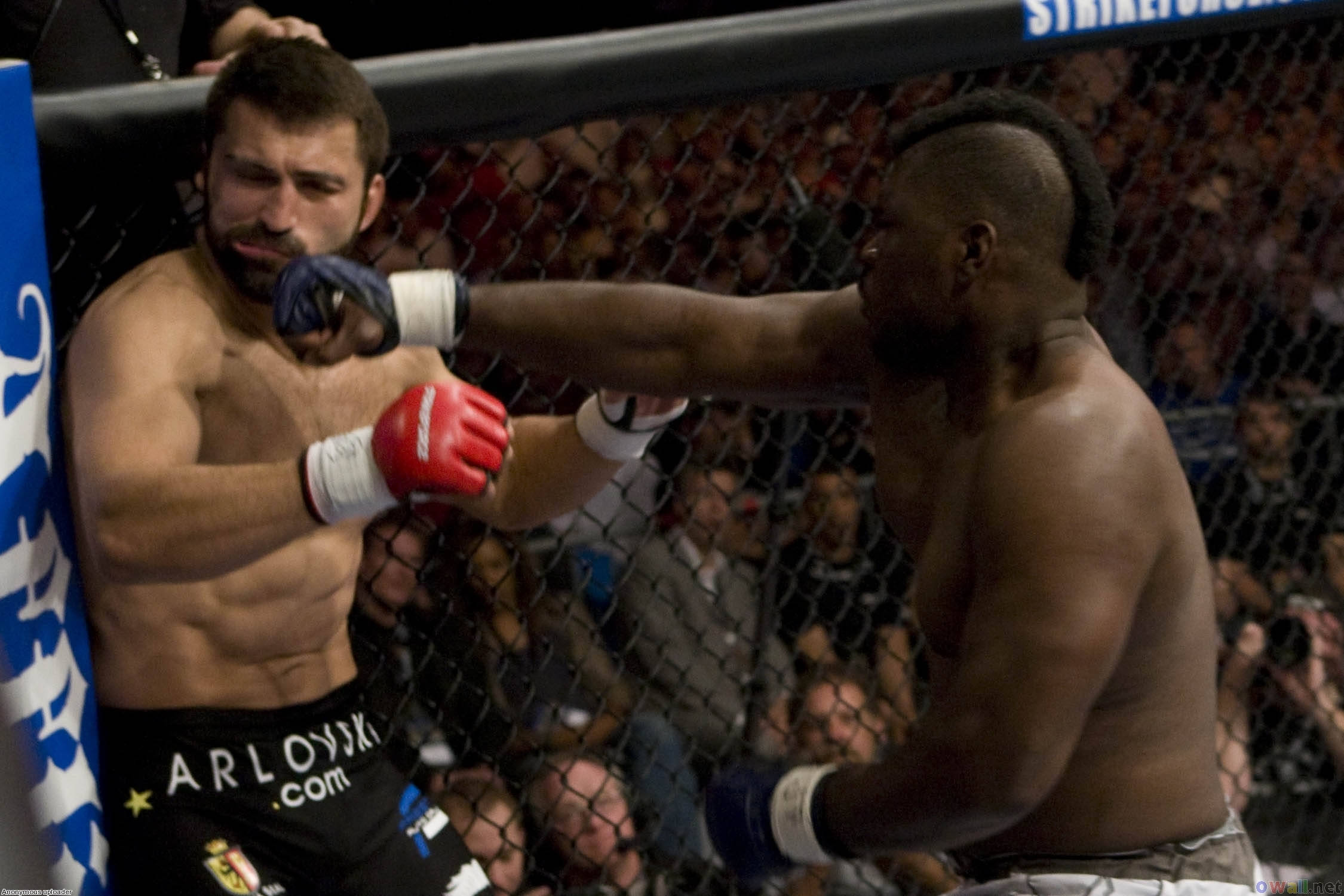 Andrei Arlovski, MMA fighter, octagon, Full HD Desktop Wallpaper