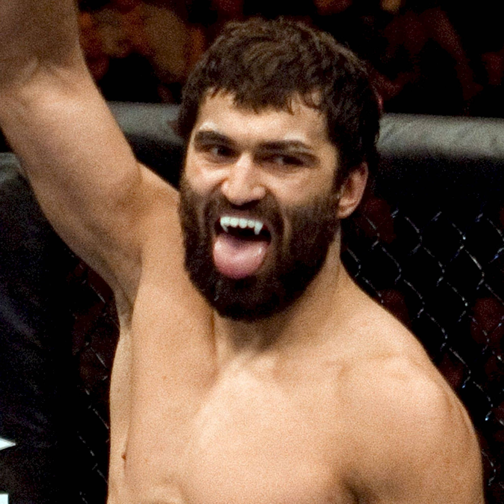 Andrei Arlovski, former heavyweight champion, cage, Full HD Desktop Wallpaper