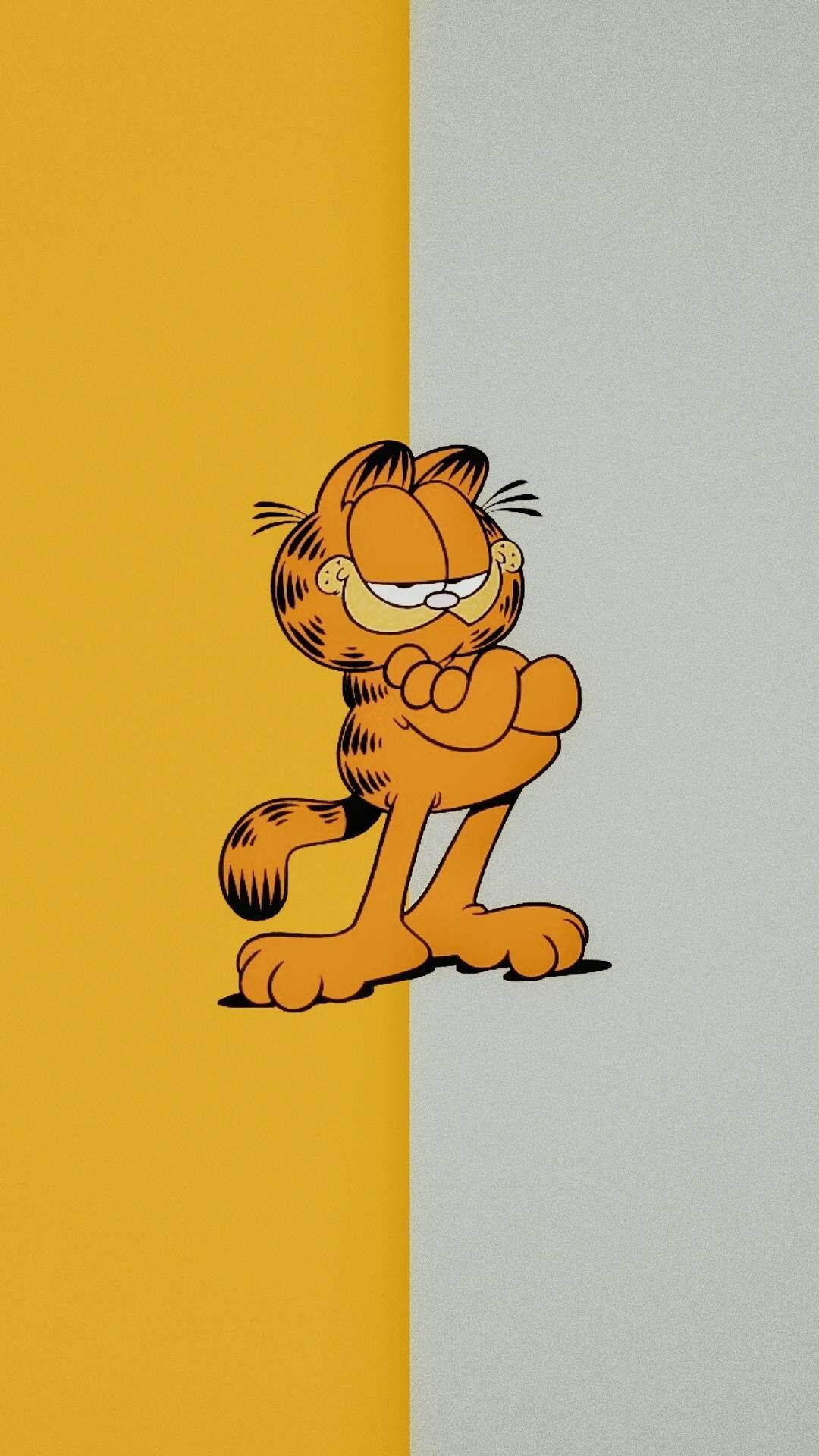 Garfield, orange cat, yellow and gray split background, Full HD Phone Wallpaper