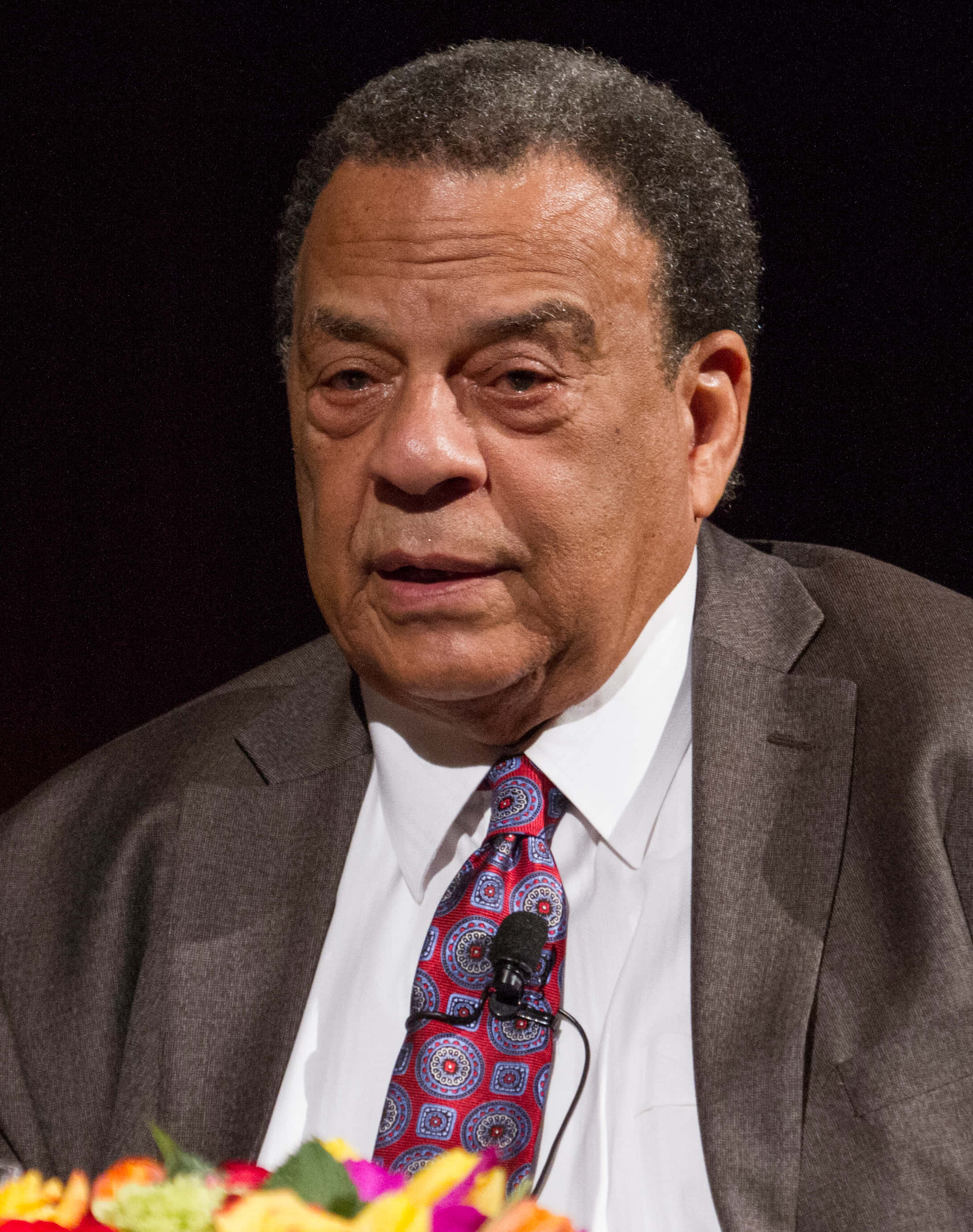 Andrew Young, gray suit, patterned tie, 2K Phone Wallpaper