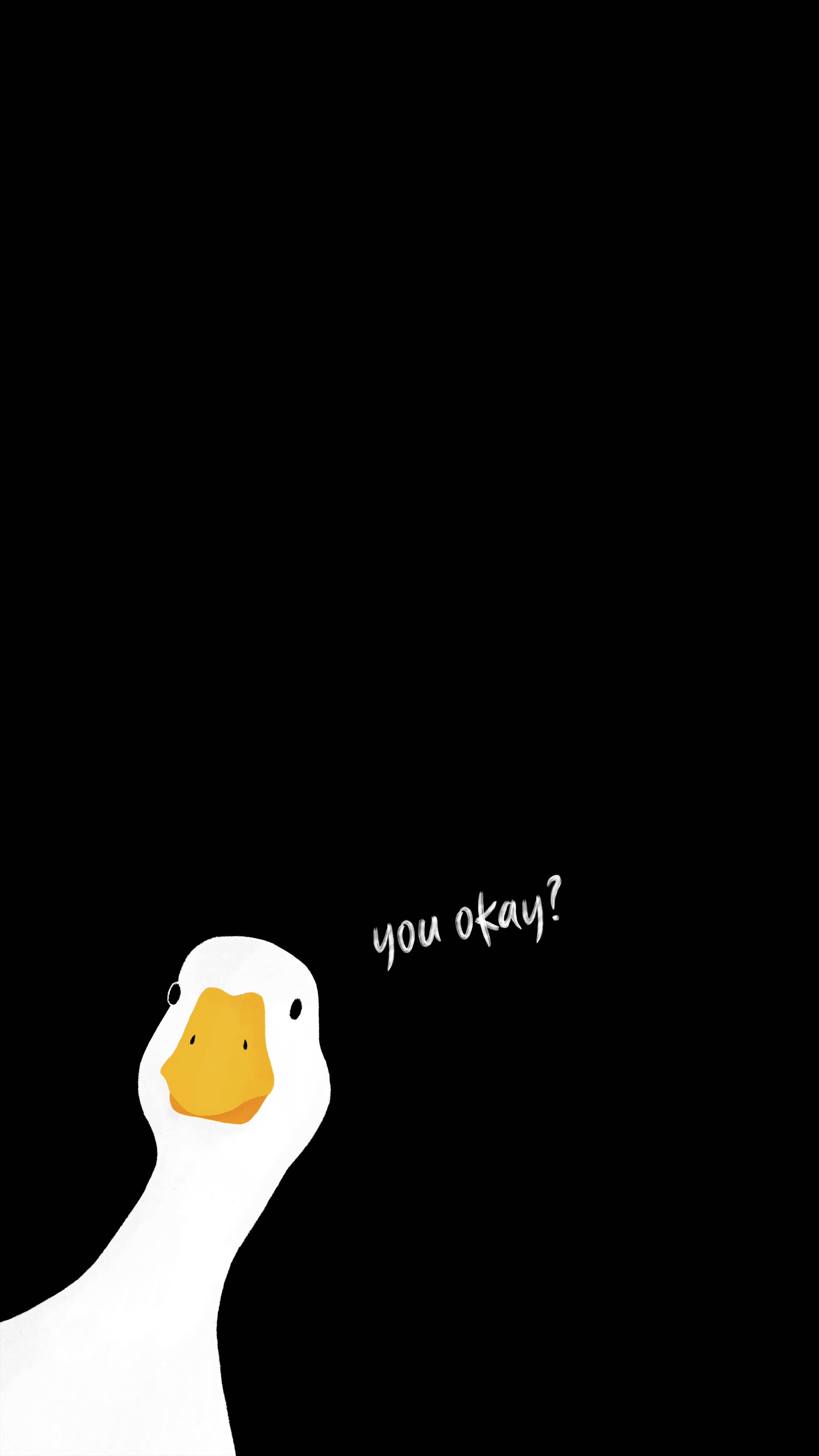 cute white duck, orange beak, stark black background, 5K Phone Wallpaper