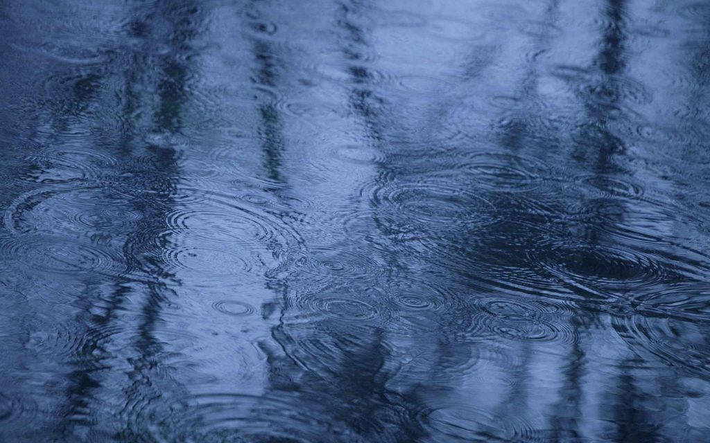 raindrops, dark blue water surface, blurred tree silhouettes, SD Desktop Wallpaper