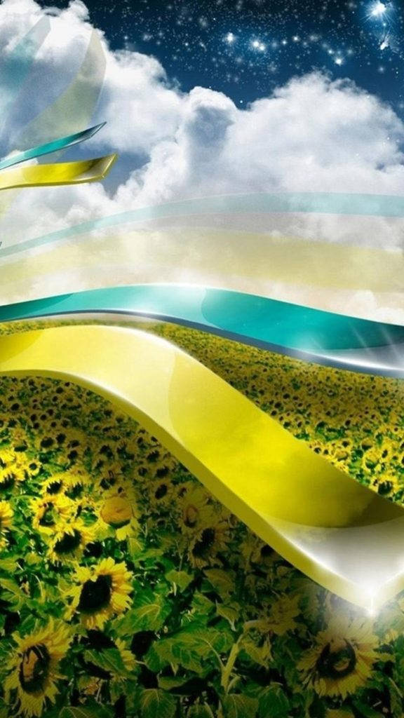 Ukrainian, sunflower field, starry sky, SD Phone Wallpaper