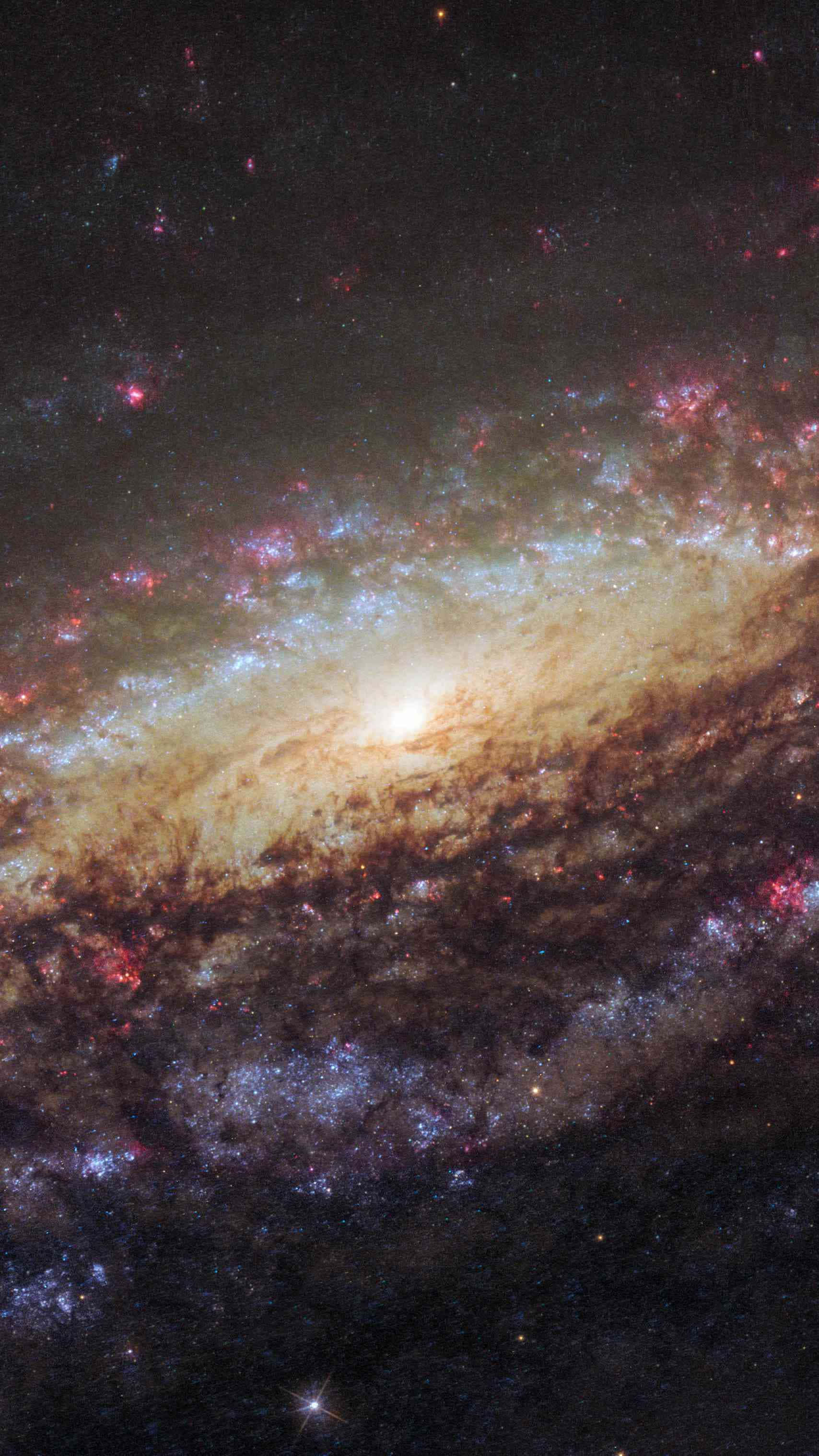Andromeda Galaxy, spiral galaxy, glowing stars, 2K Phone Wallpaper