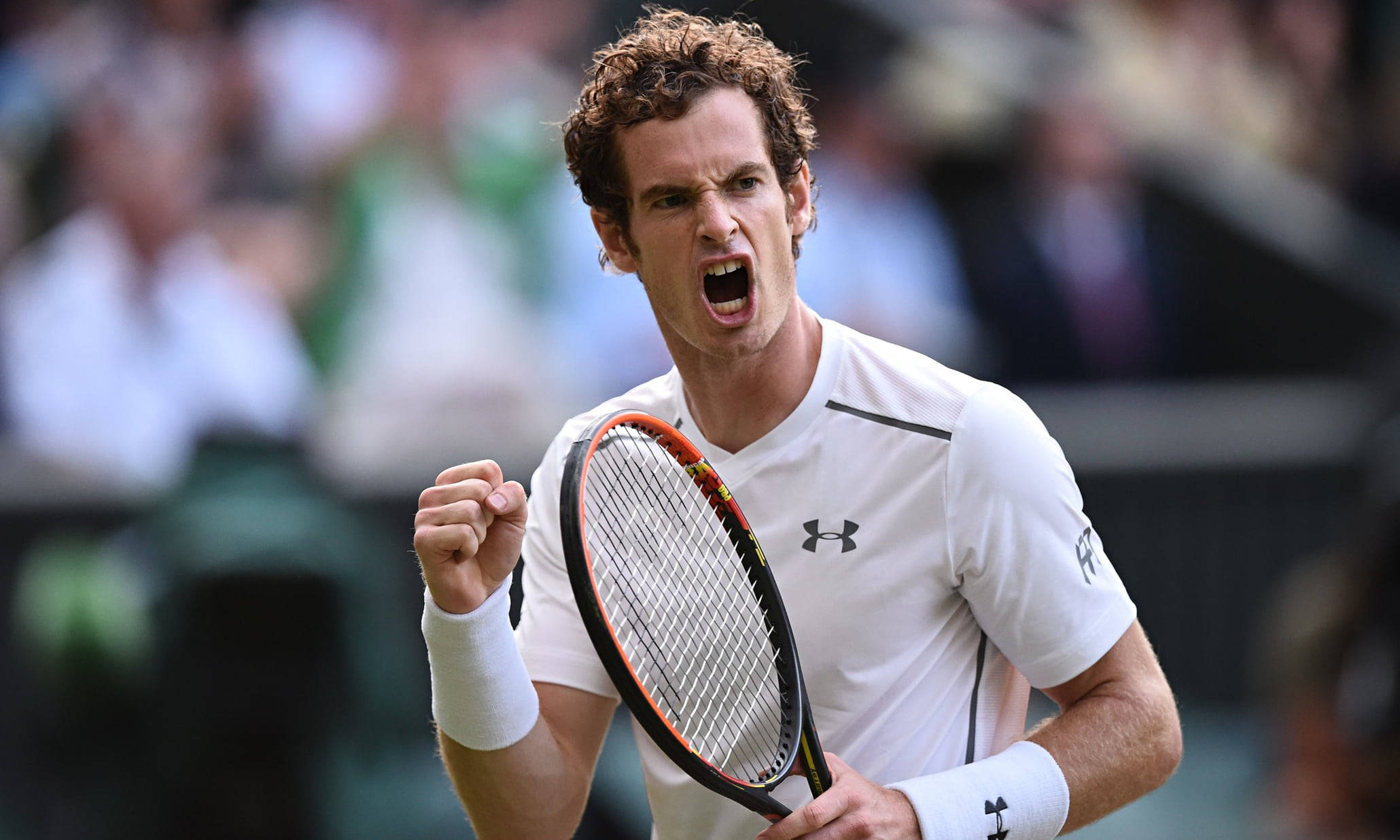 Andy Murray, tennis player, racket, Full HD Desktop Wallpaper