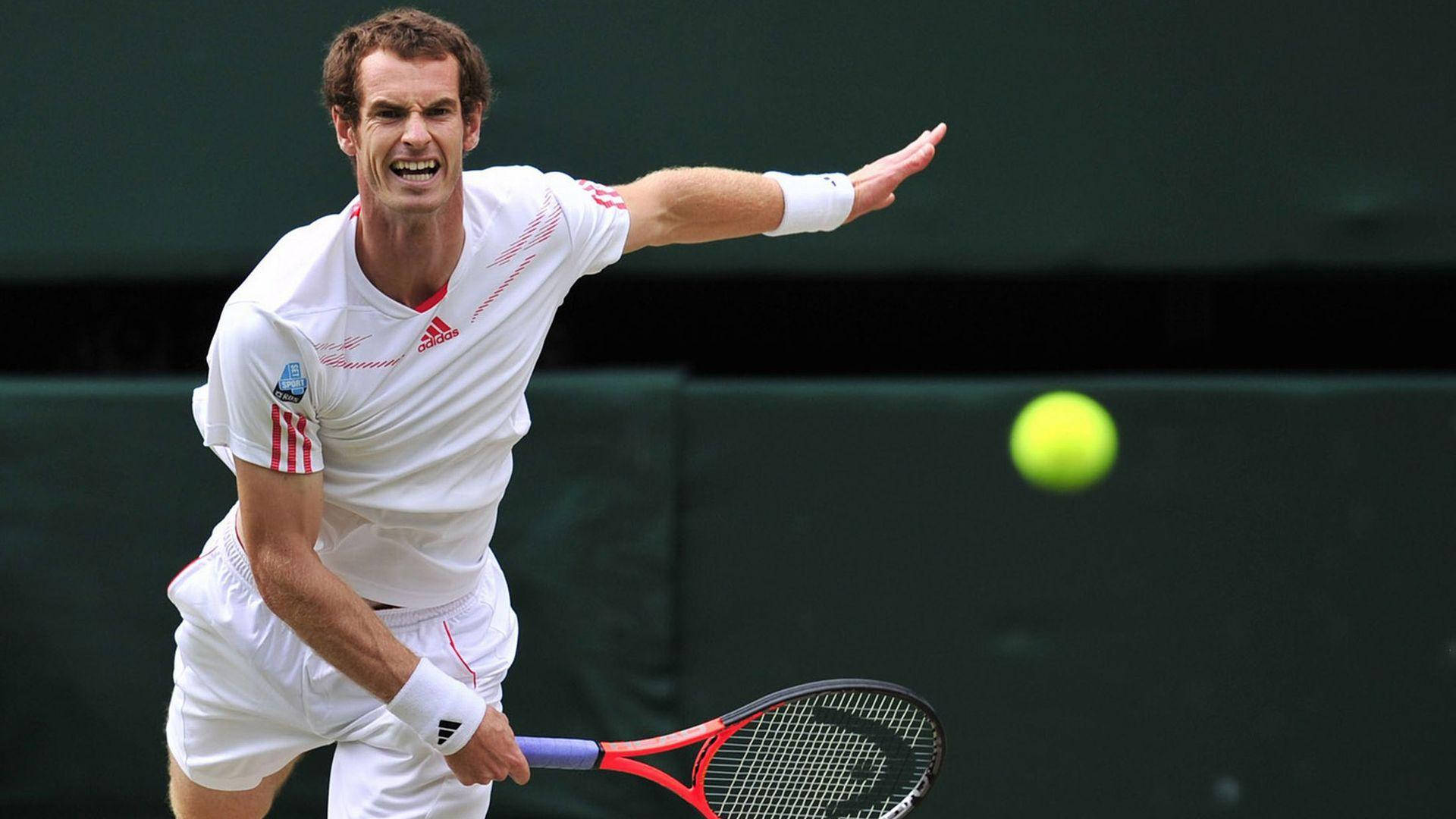 Andy Murray, white gear, bright yellow tennis ball, Full HD Desktop Wallpaper