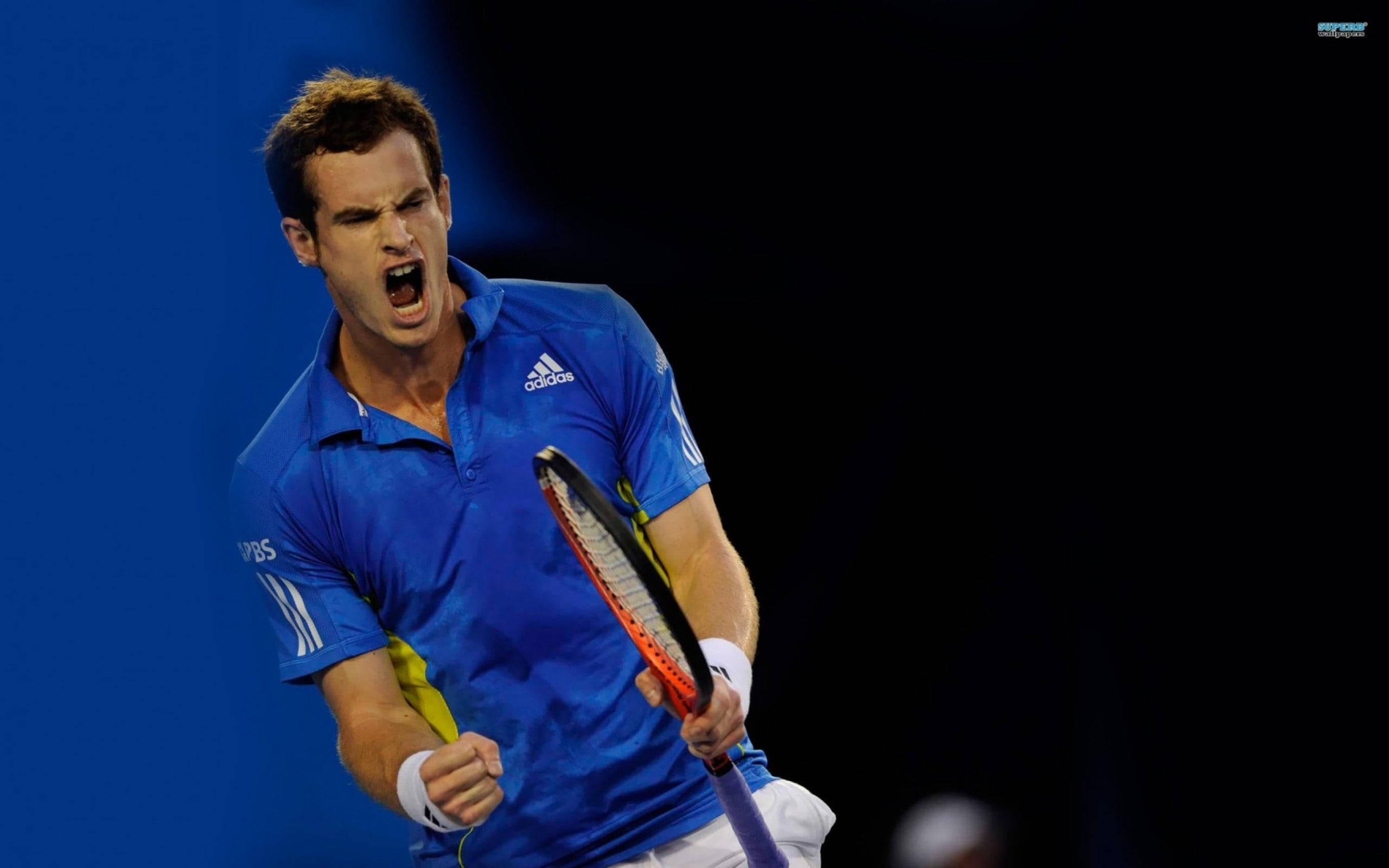 Andy Murray, blue shirt, racket, 2K Desktop Wallpaper
