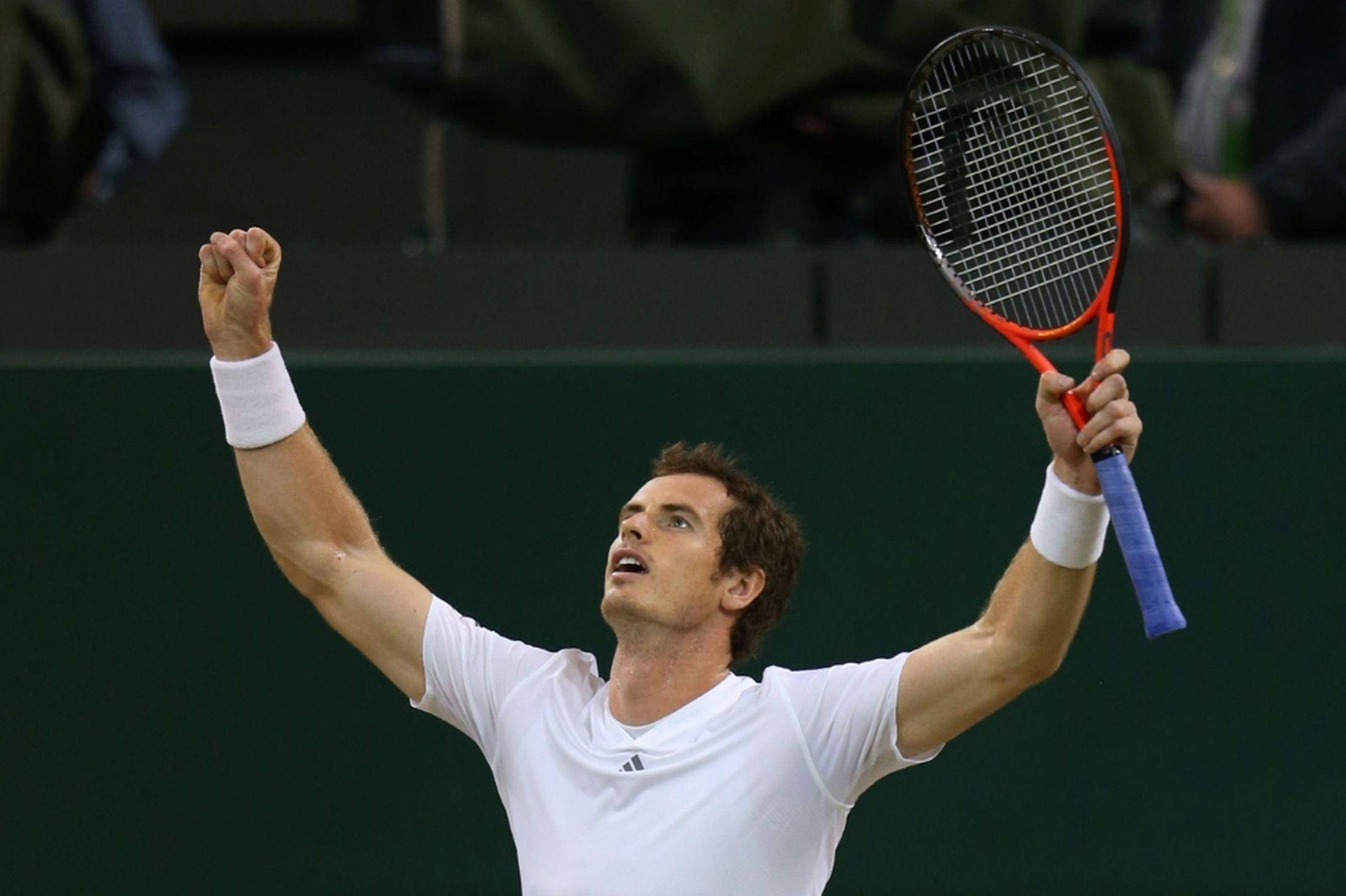 Andy Murray, raised fist, racket, Full HD Desktop Wallpaper