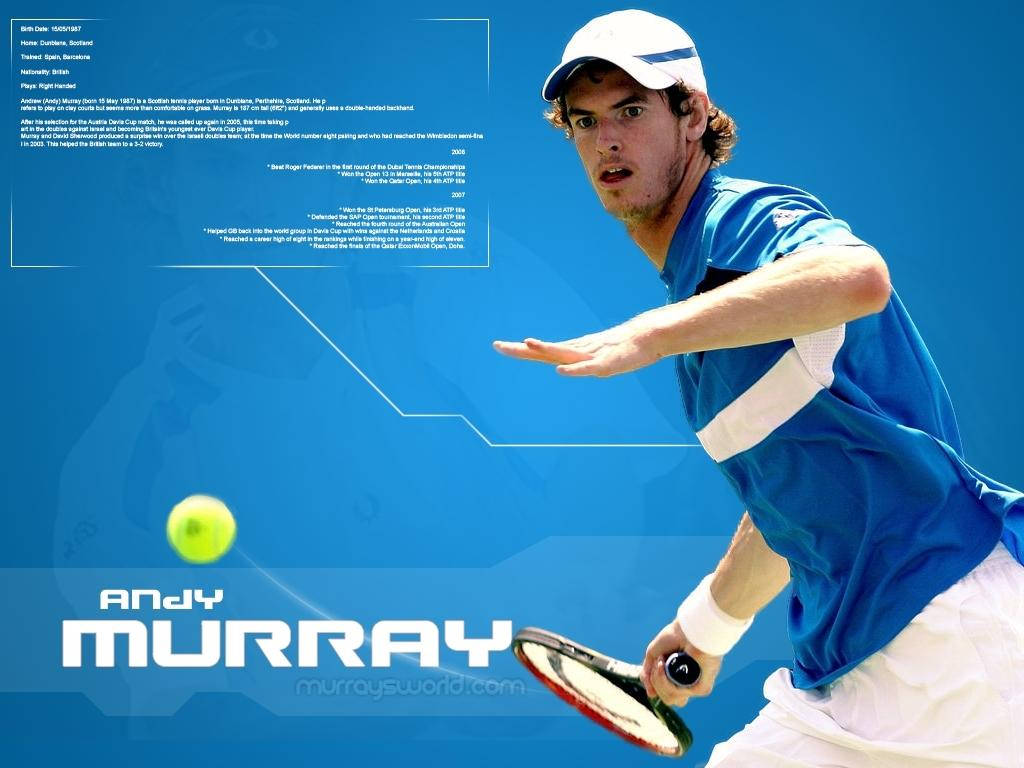 Andy Murray, blue, tennis pose, SD Desktop Wallpaper