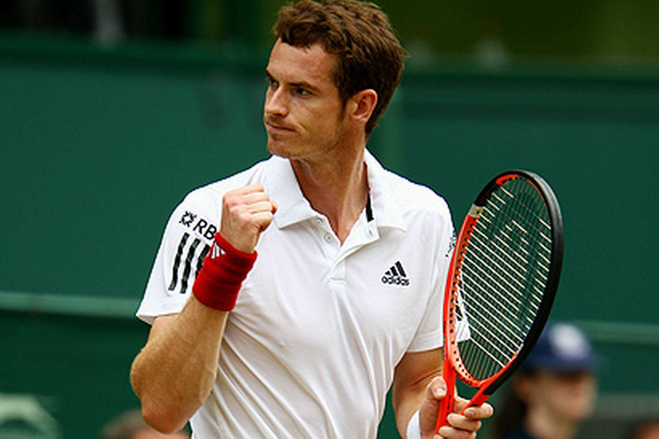 Andy Murray, red racket, grass court, Full HD Desktop Wallpaper
