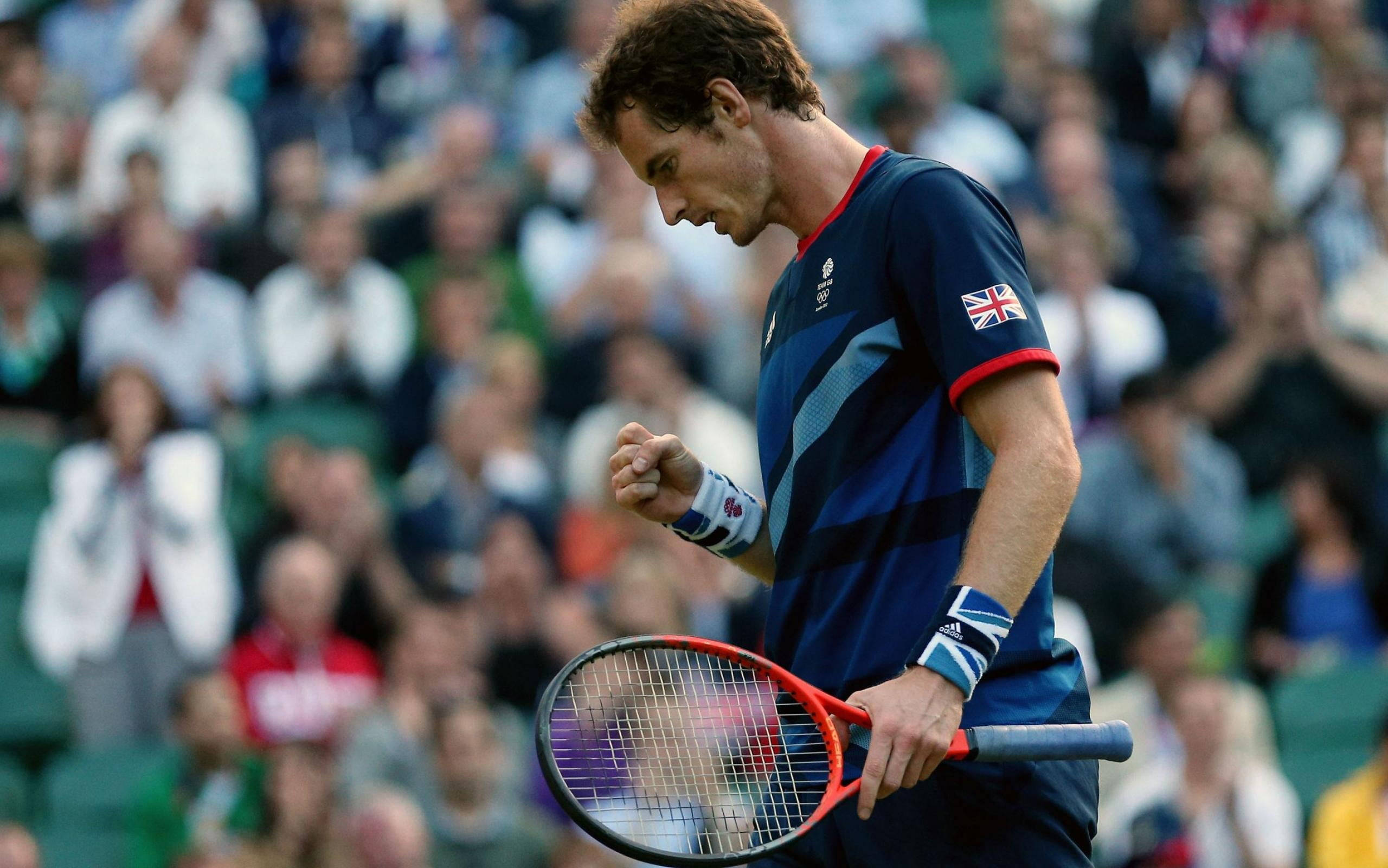 Andy Murray, blue British jersey, red racket, 2K Desktop Wallpaper