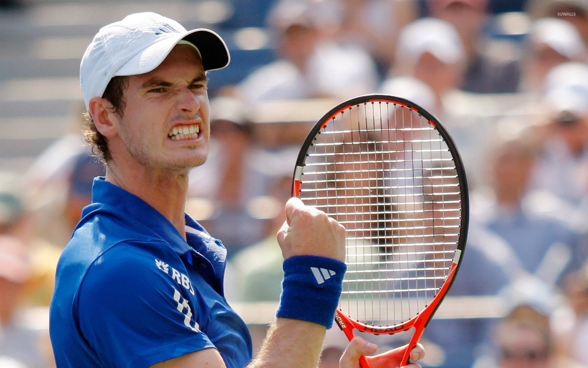Andy Murray, blue shirt, white cap, Full HD Desktop Wallpaper
