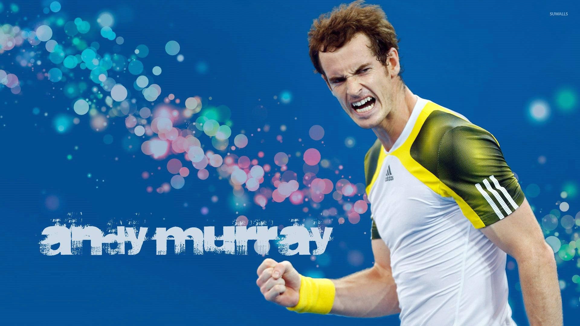 Andy Murray, yellow and green tennis shirt, vibrant blue background, Full HD Desktop Wallpaper
