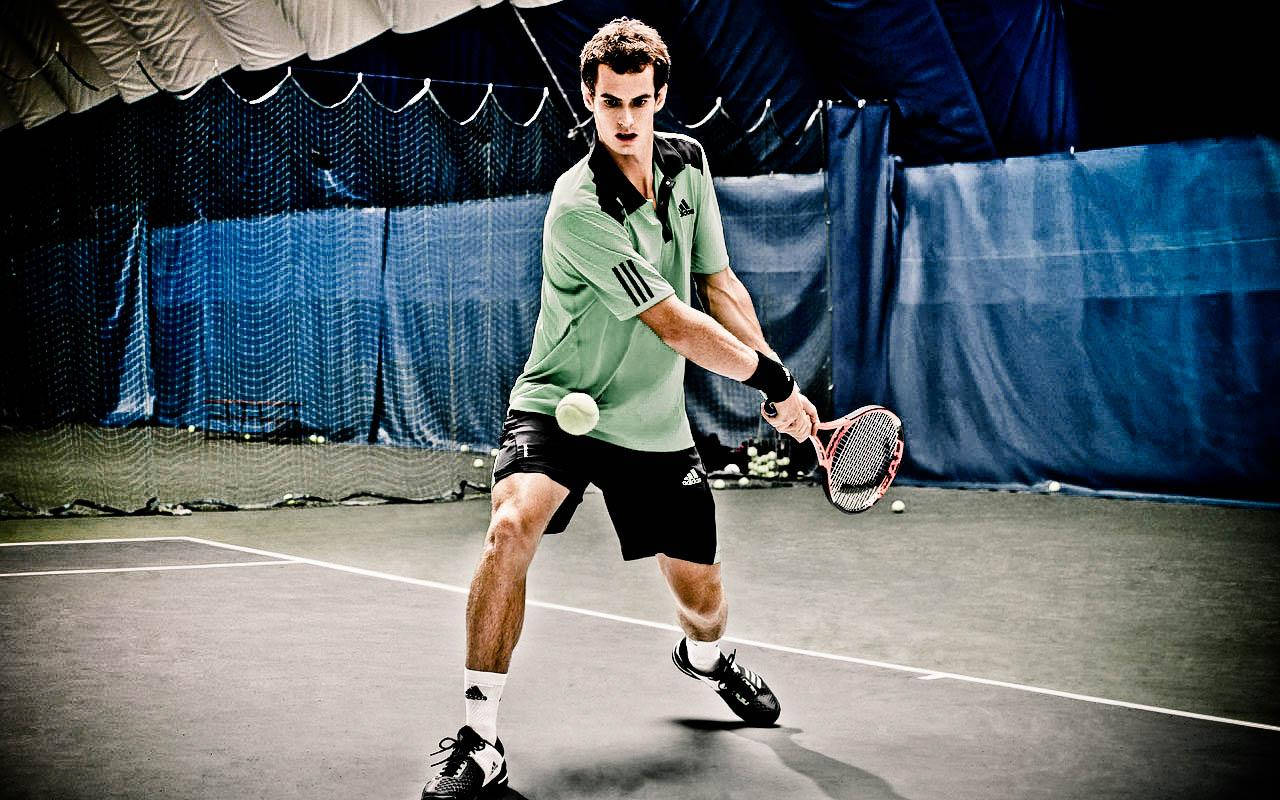 Andy Murray, tennis player, indoor court, HD Desktop Wallpaper