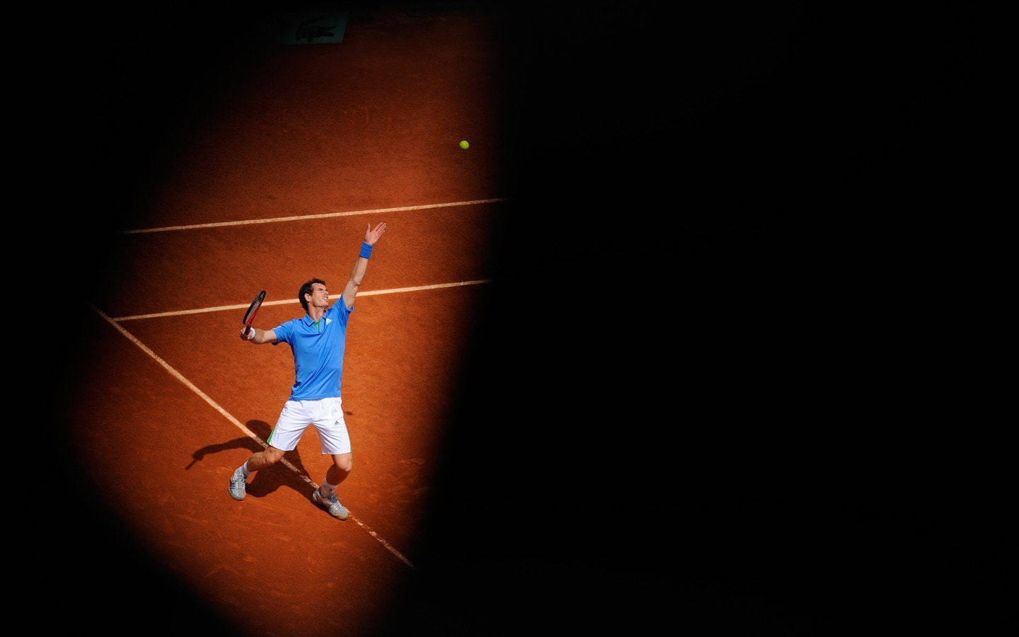 Andy Murray, blue shirt, white shorts, HD Desktop Wallpaper