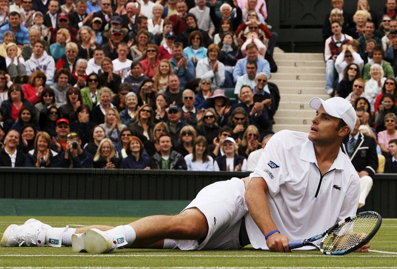 Andy Roddick, white, grass court, HD Desktop Wallpaper
