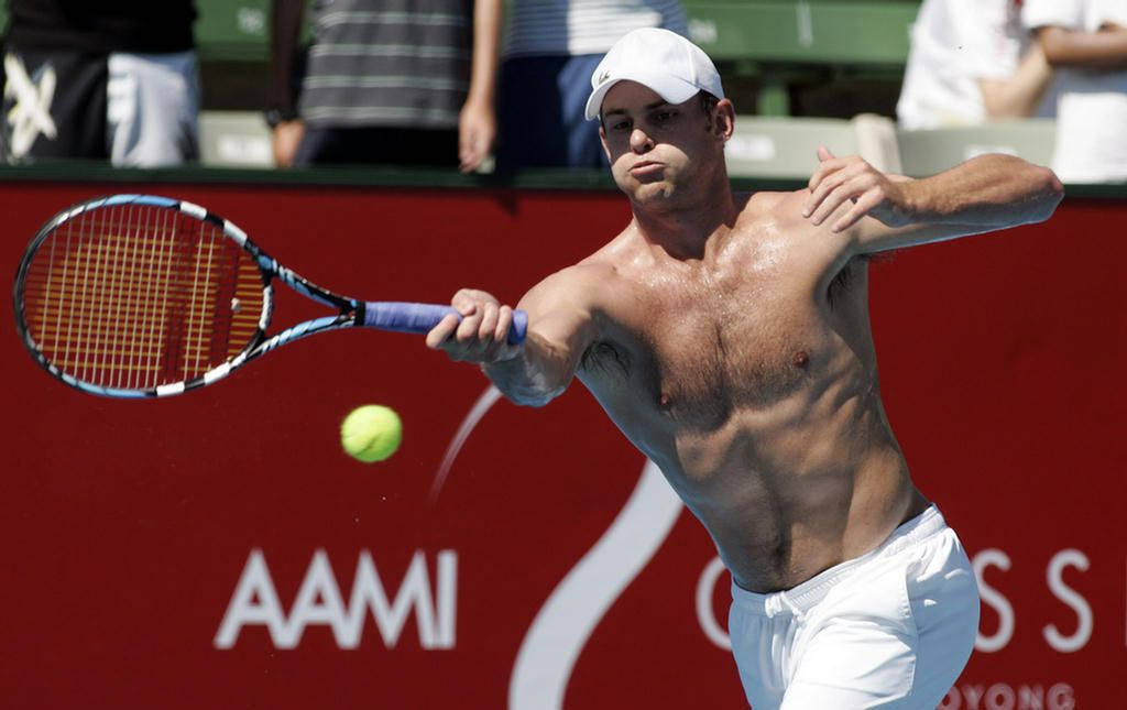 Andy Roddick, tennis player, racket, SD Desktop Wallpaper