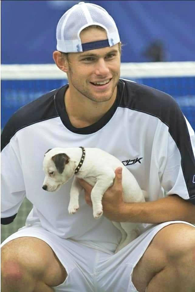 Andy Roddick, white cap, white shirt, SD Phone Wallpaper