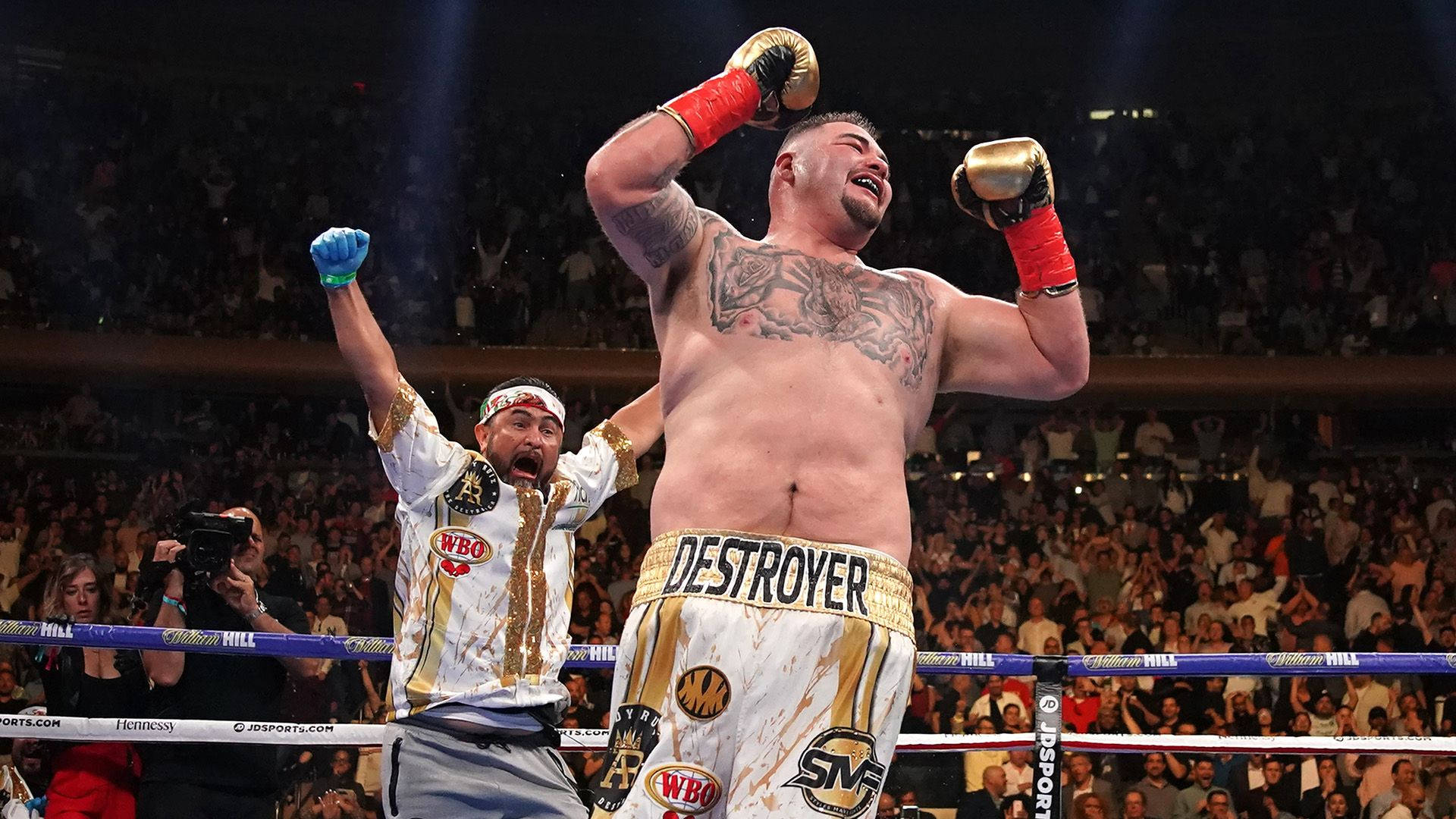 Andy Ruiz, DESTROYER shorts, gloved fists, Full HD Desktop Wallpaper