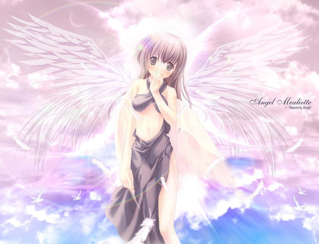 cute angel, four sets of wings, large white wings, SD Desktop Wallpaper