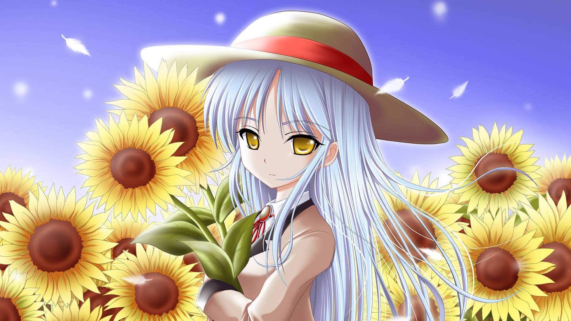 Angel Beats, sunflower garden, silver-haired anime girl, Full HD Desktop Wallpaper