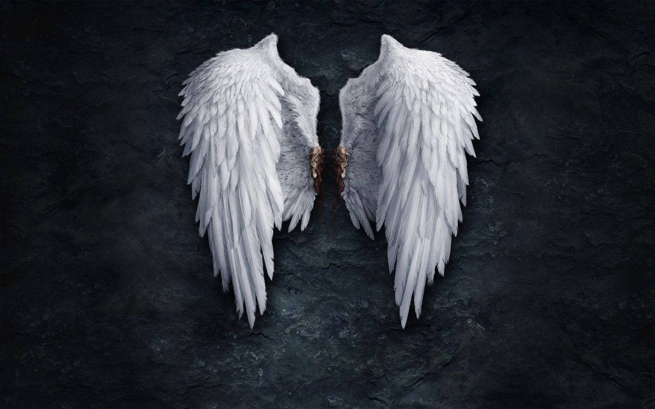 Angel Beats, white angel wings, brown feathered roots, HD Desktop Wallpaper