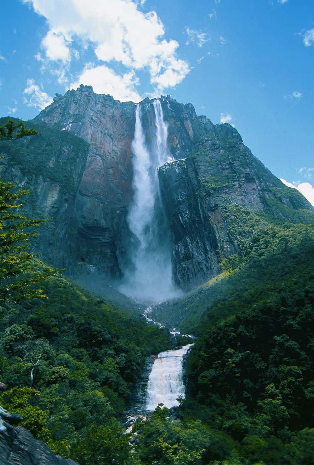 Angel Falls, cascading river, towering cliff, HD Phone Wallpaper