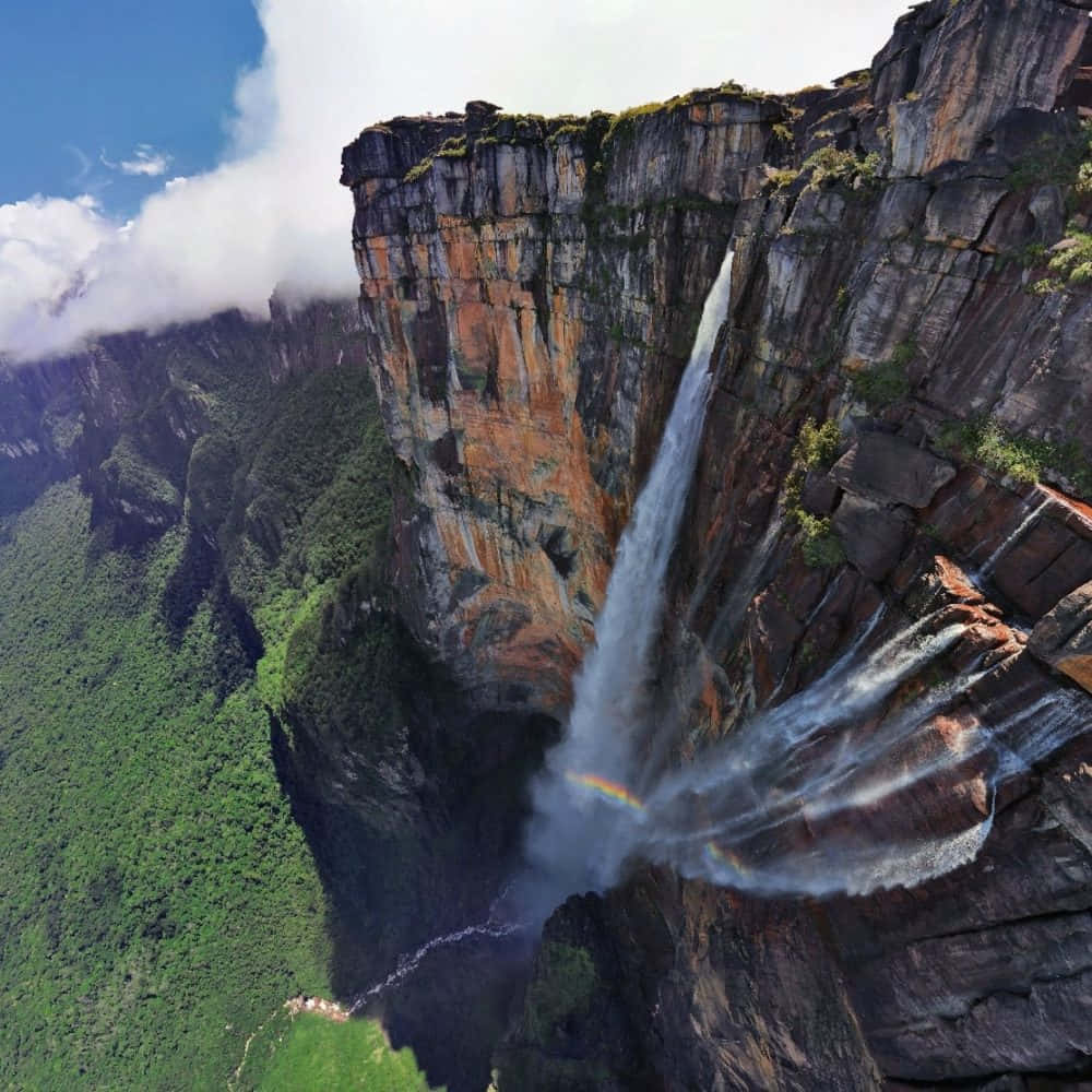 Angel Falls, towering cliff, lush green canyon, SD Desktop Wallpaper